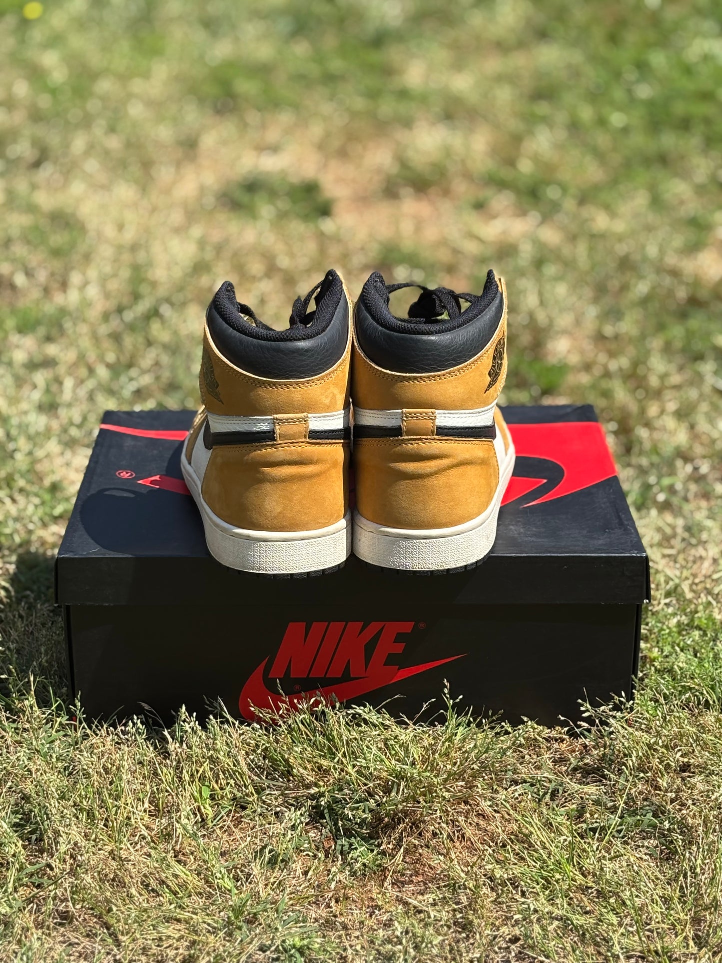Jordan 1 High “Rookie Of The Year” Size 10M