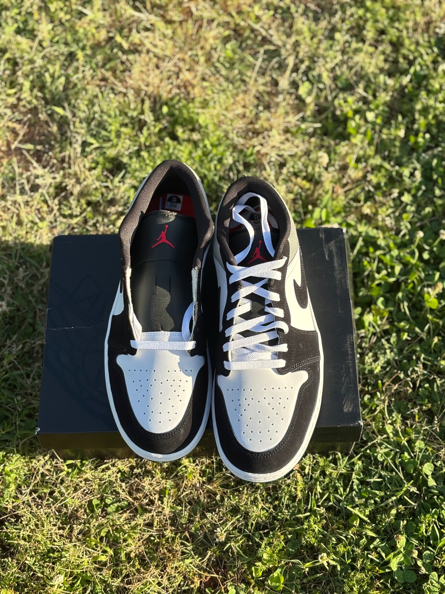 Jordan 1 Low SE "Fire Red Black Matte Silver" Sz 13M
