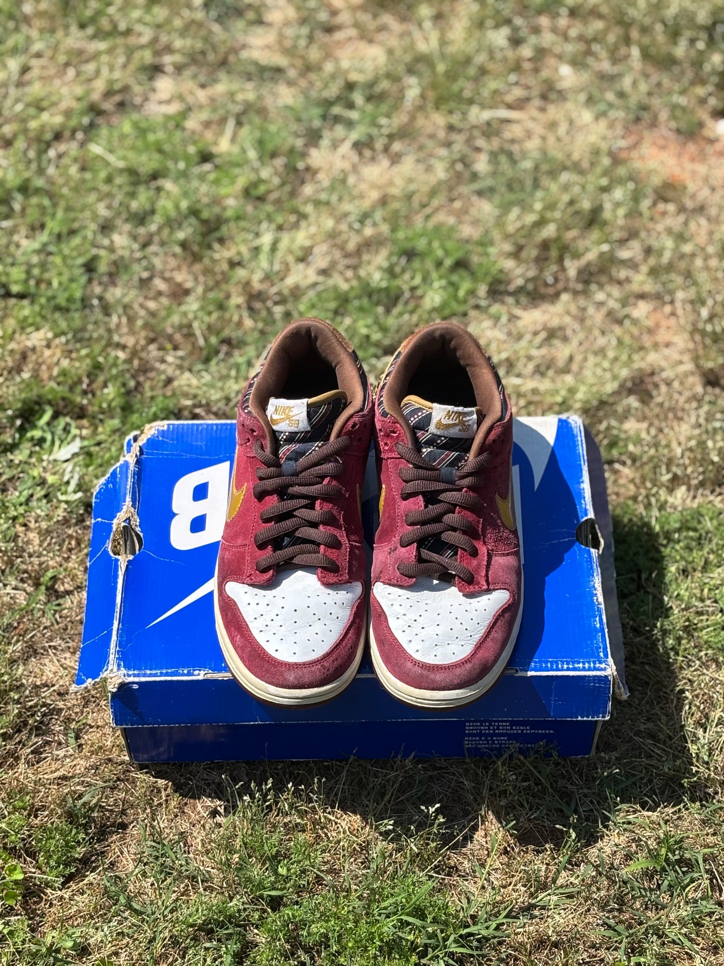 Nike SB Dunk Low “Anchorman” Size 10M