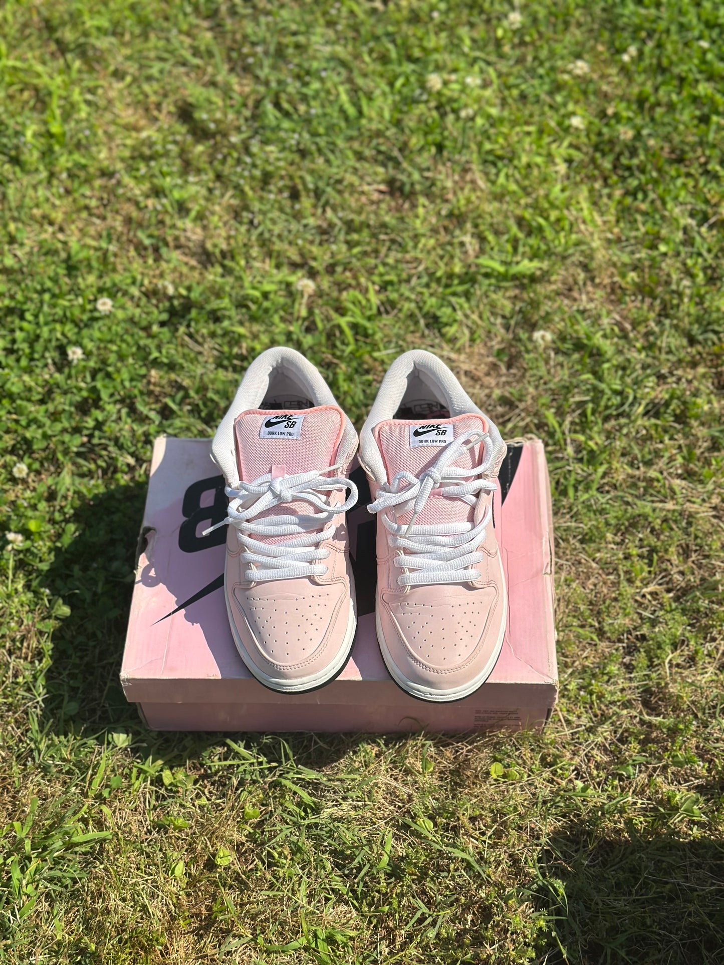 Nike SB Dunk Low “Pink Box” Size 9.5M
