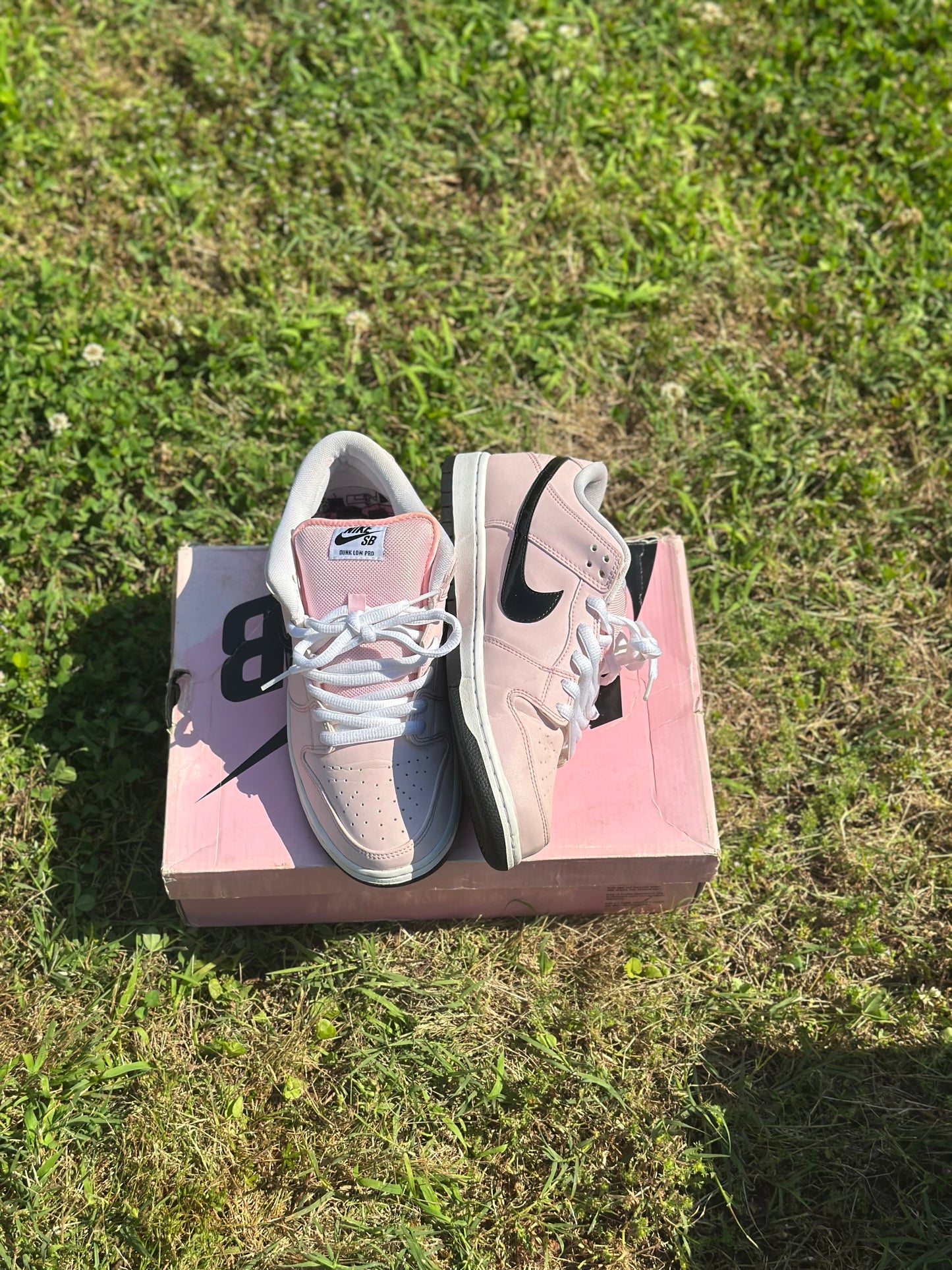 Nike SB Dunk Low “Pink Box” Size 9.5M