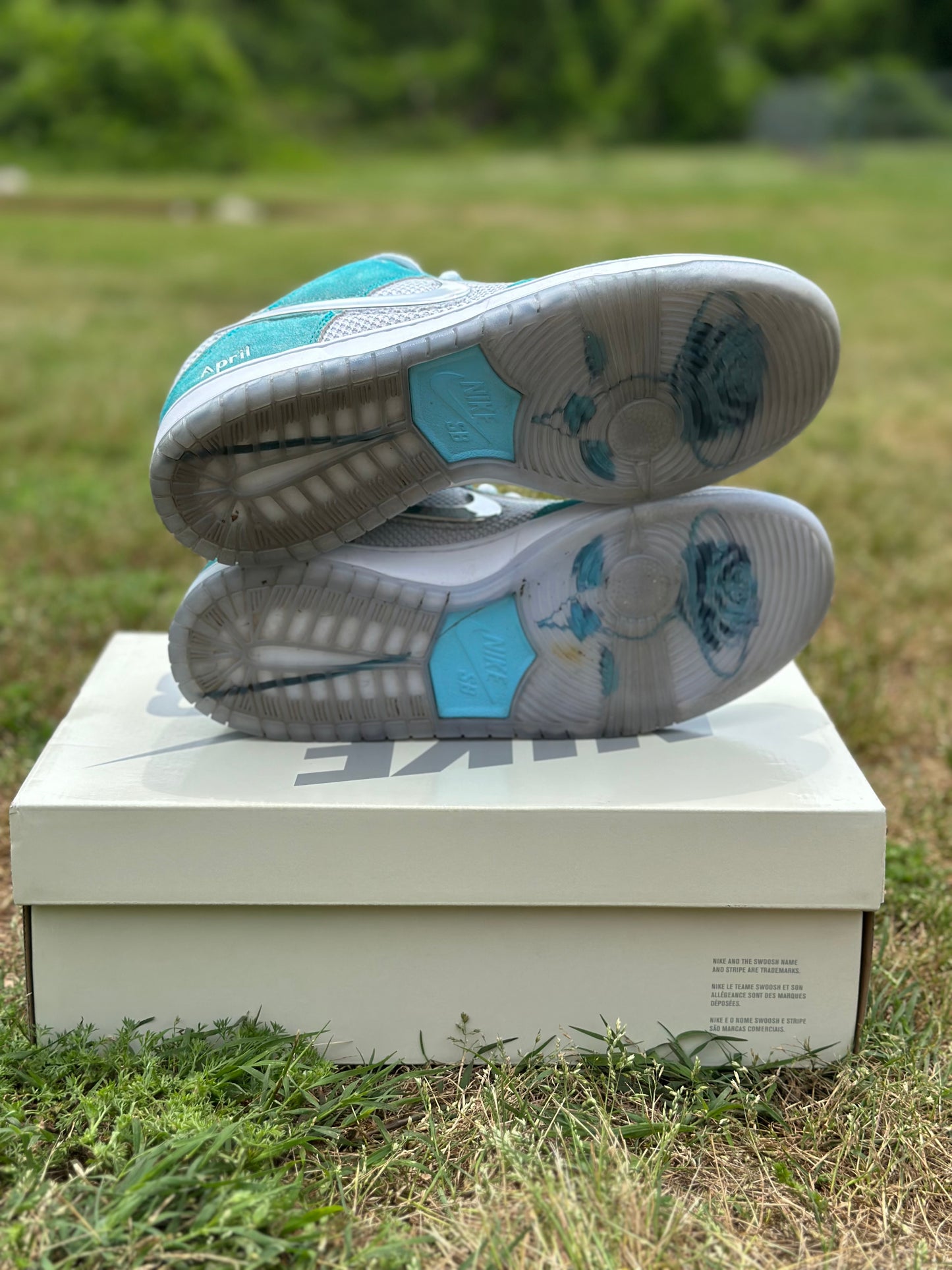 Nike SB Dunk Low “April” Size 9.5M