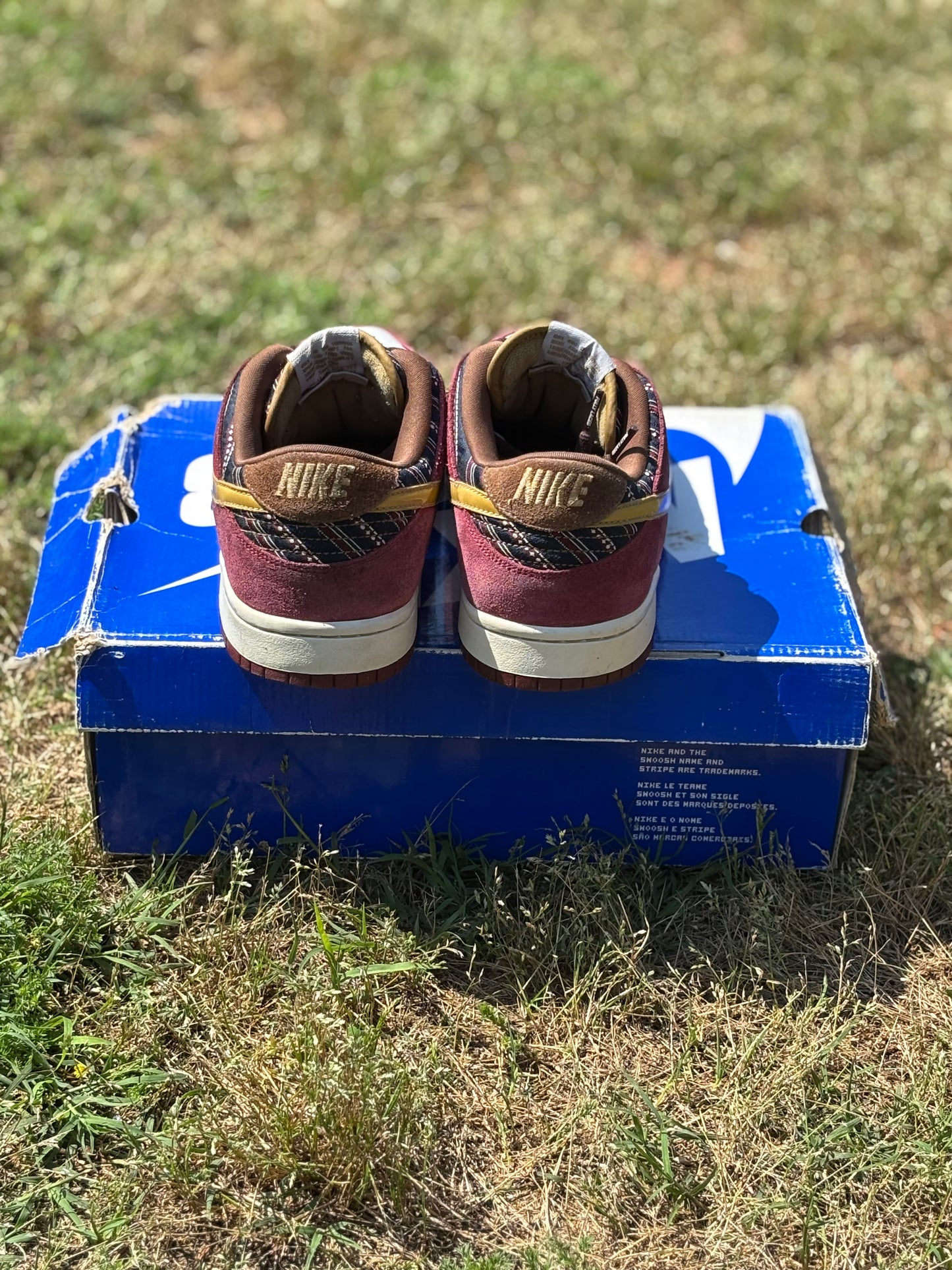 Nike SB Dunk Low “Anchorman” Size 10M
