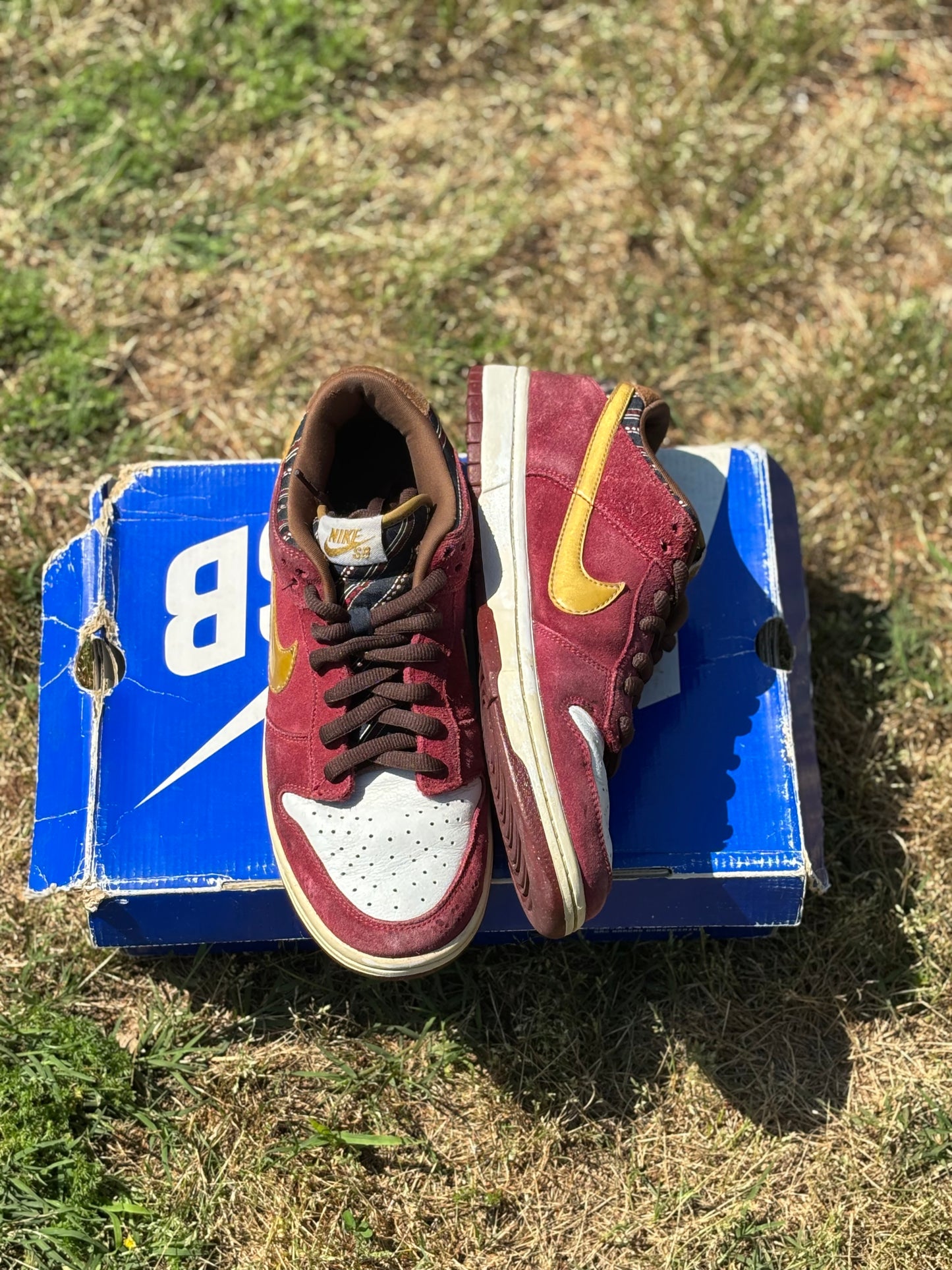 Nike SB Dunk Low “Anchorman” Size 10M