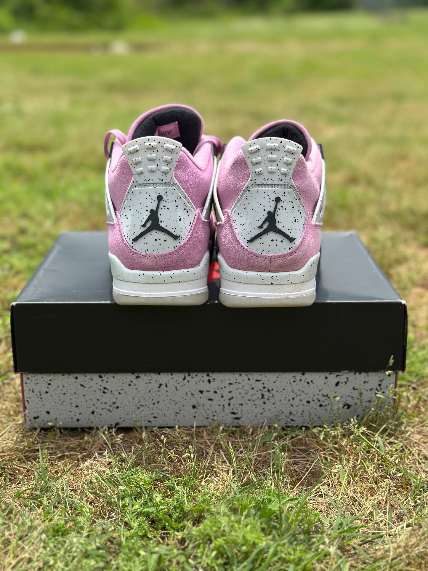 Jordan 4 “Orchid” Size 11W (9.5M)