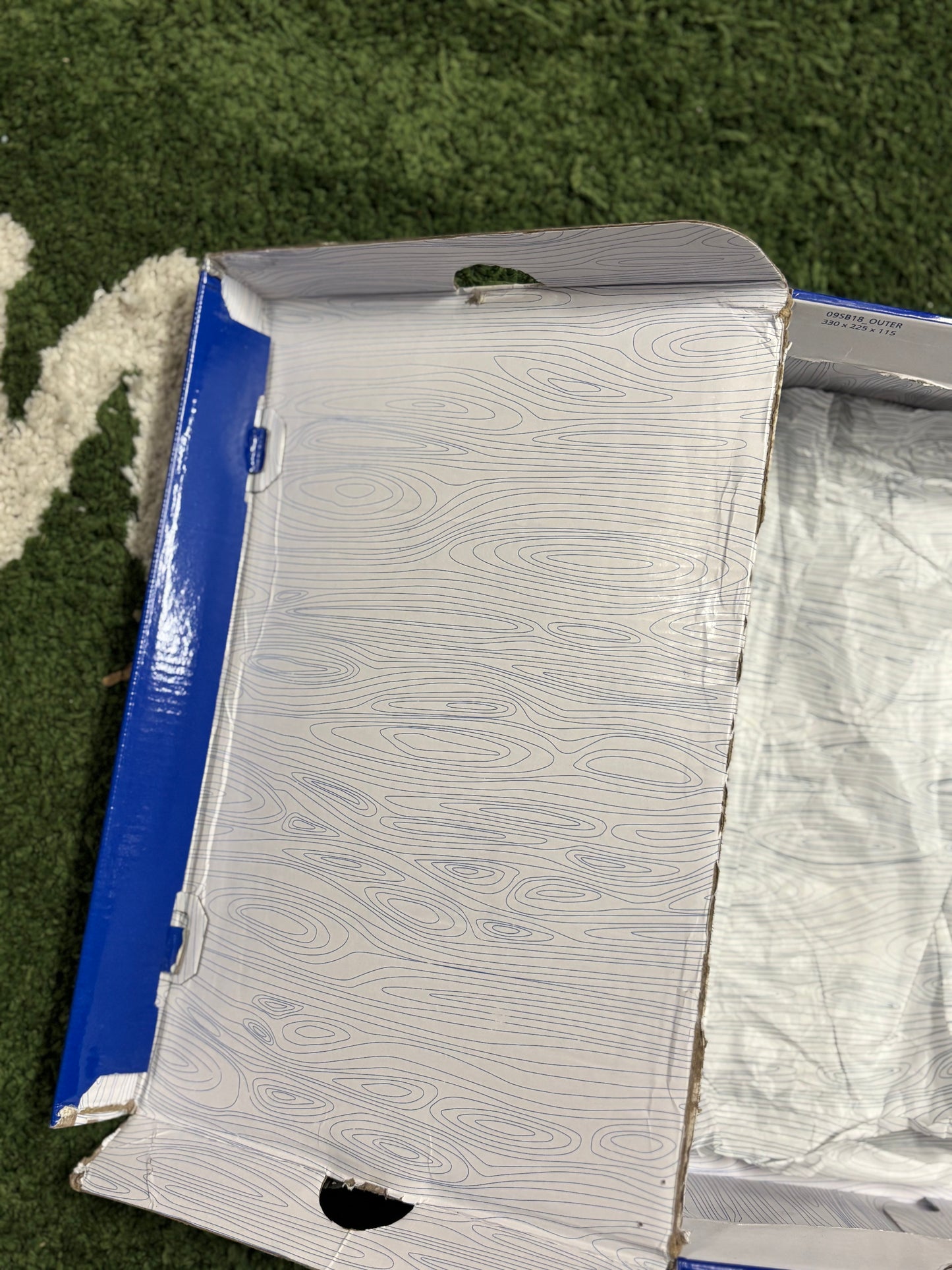 Nike SB Dunk Low Concepts Blue Lobster