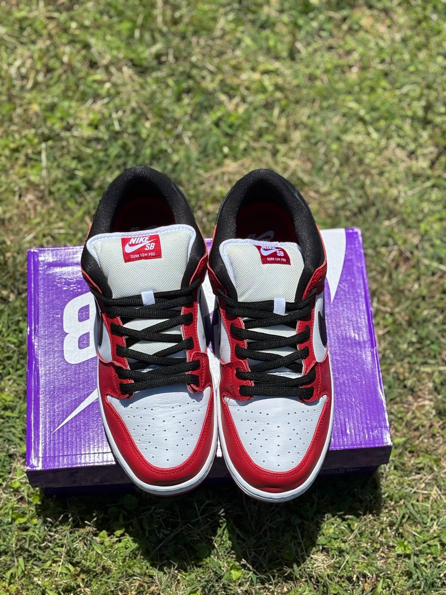 Nike SB Dunk Low J-Pack “Chicago” Size 11M