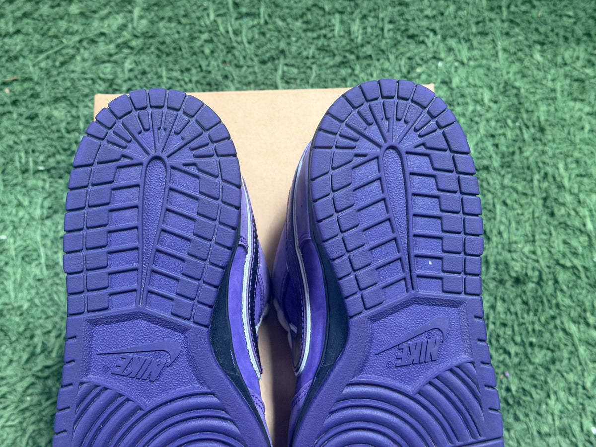 Nike SB Dunk Low Concepts Purple Lobster