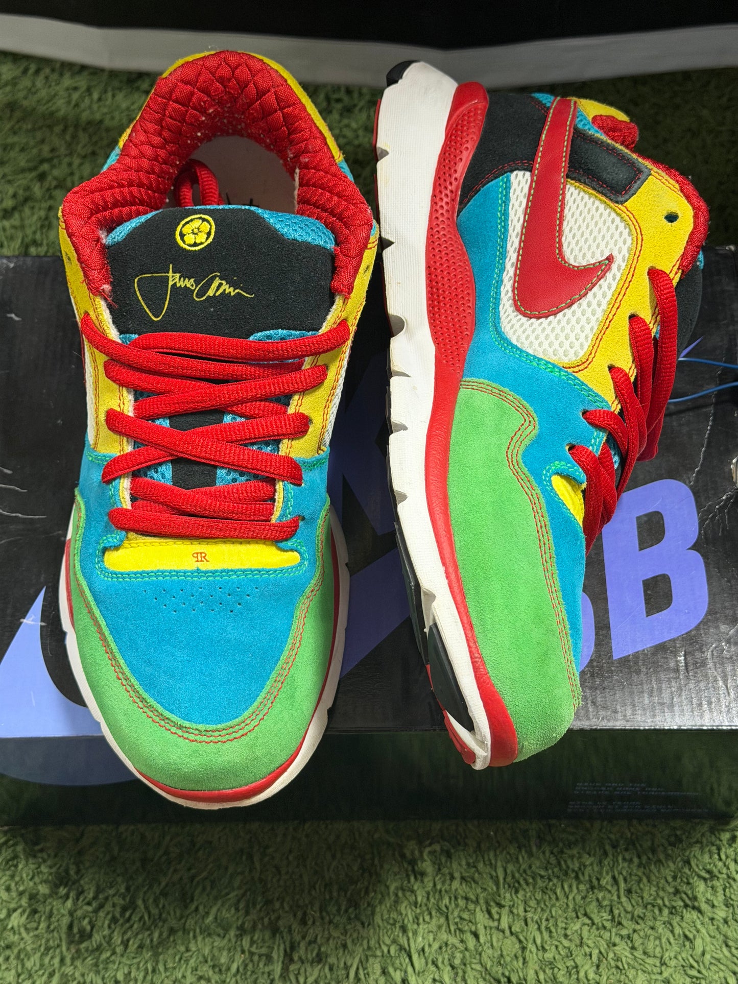 Nike Free Rod Plus Multicolor