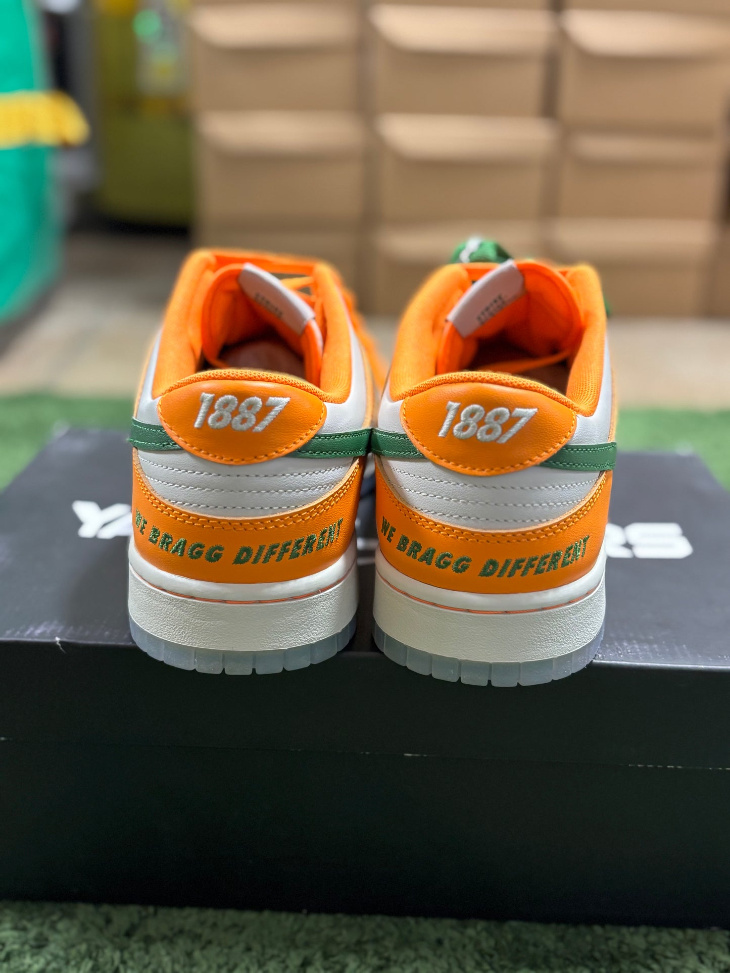 Nike Dunk Low FAMU