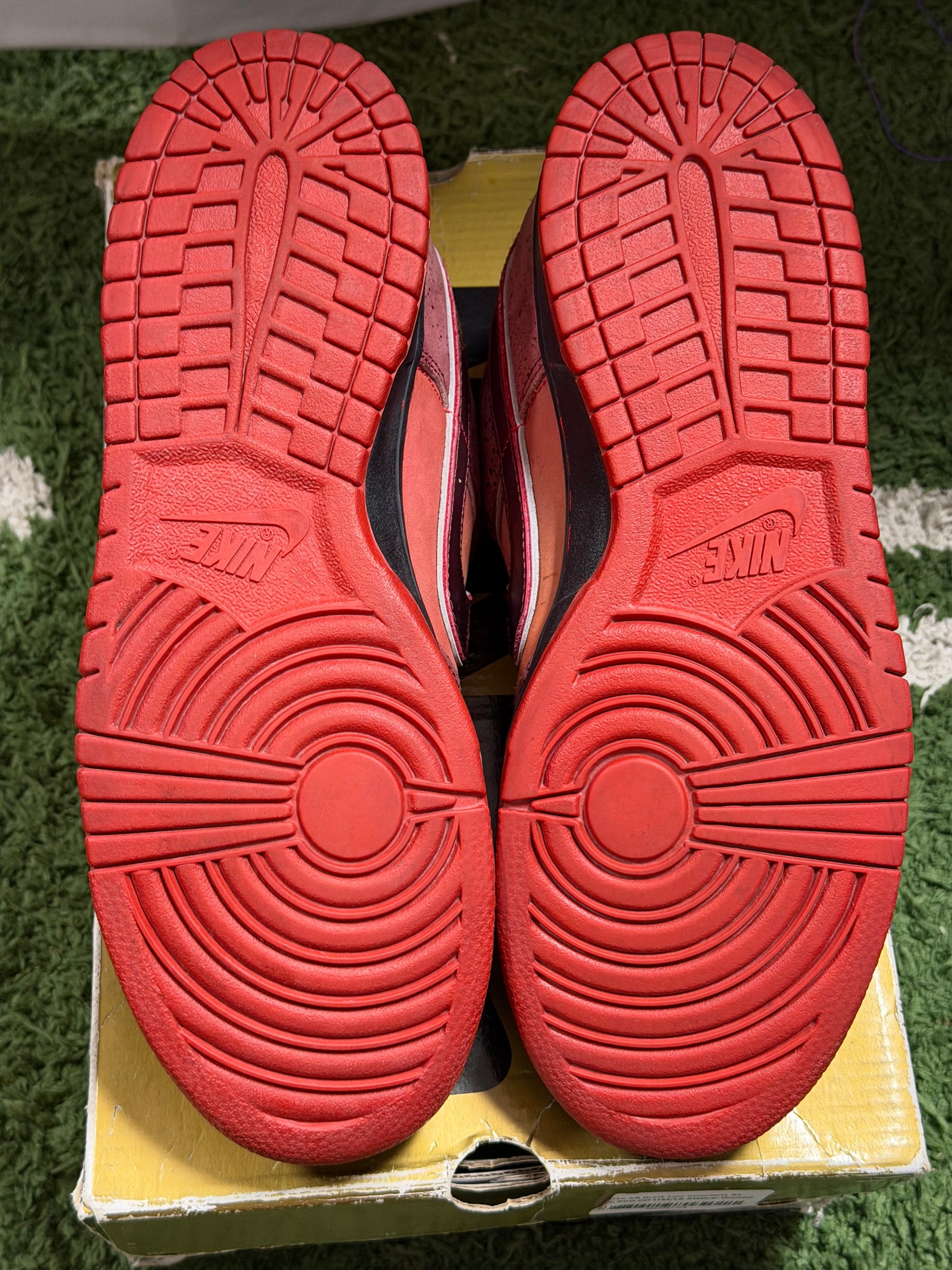 Nike SB Dunk Low Concepts Red Lobster