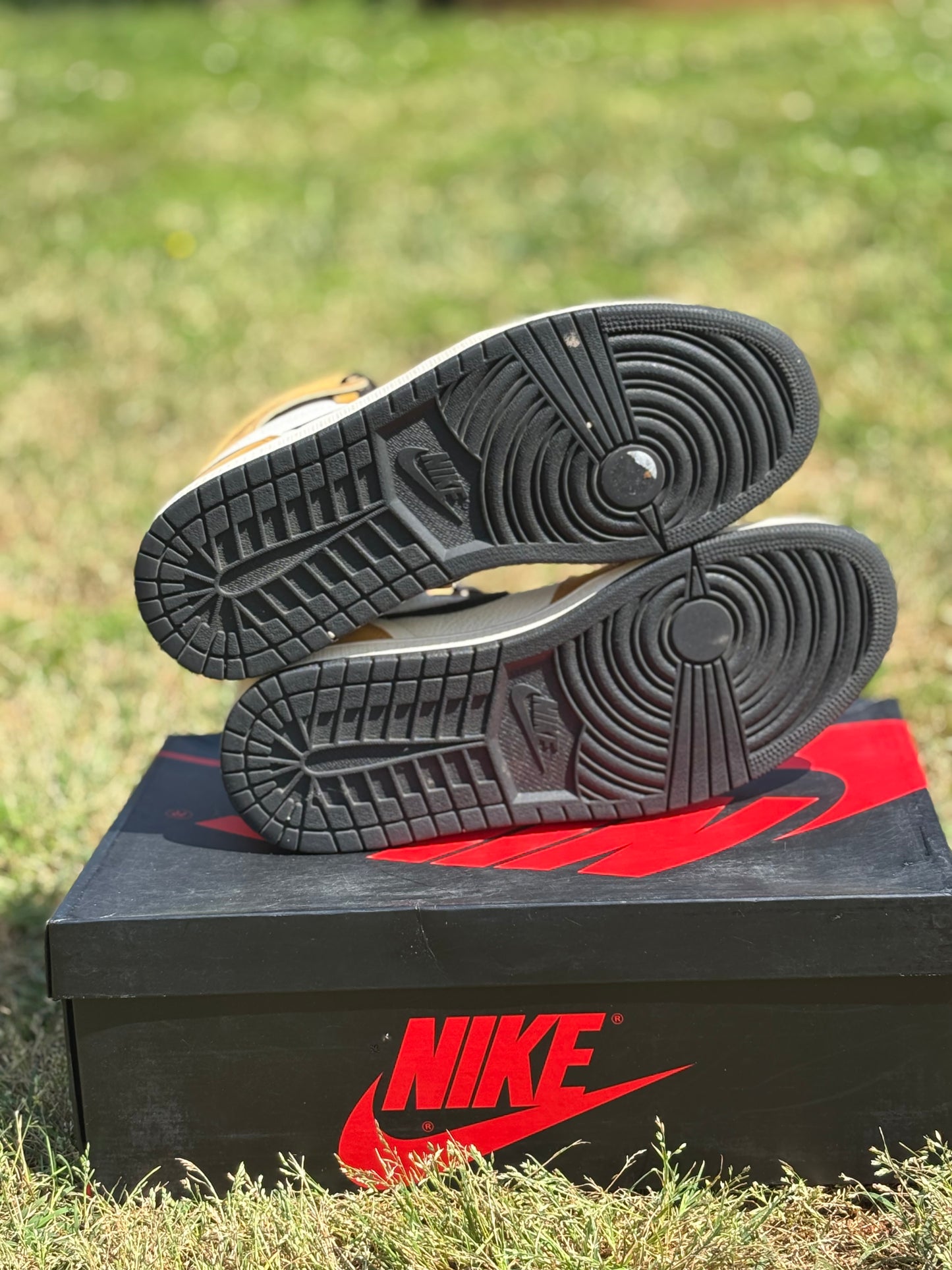 Jordan 1 High “Rookie Of The Year” Size 10M