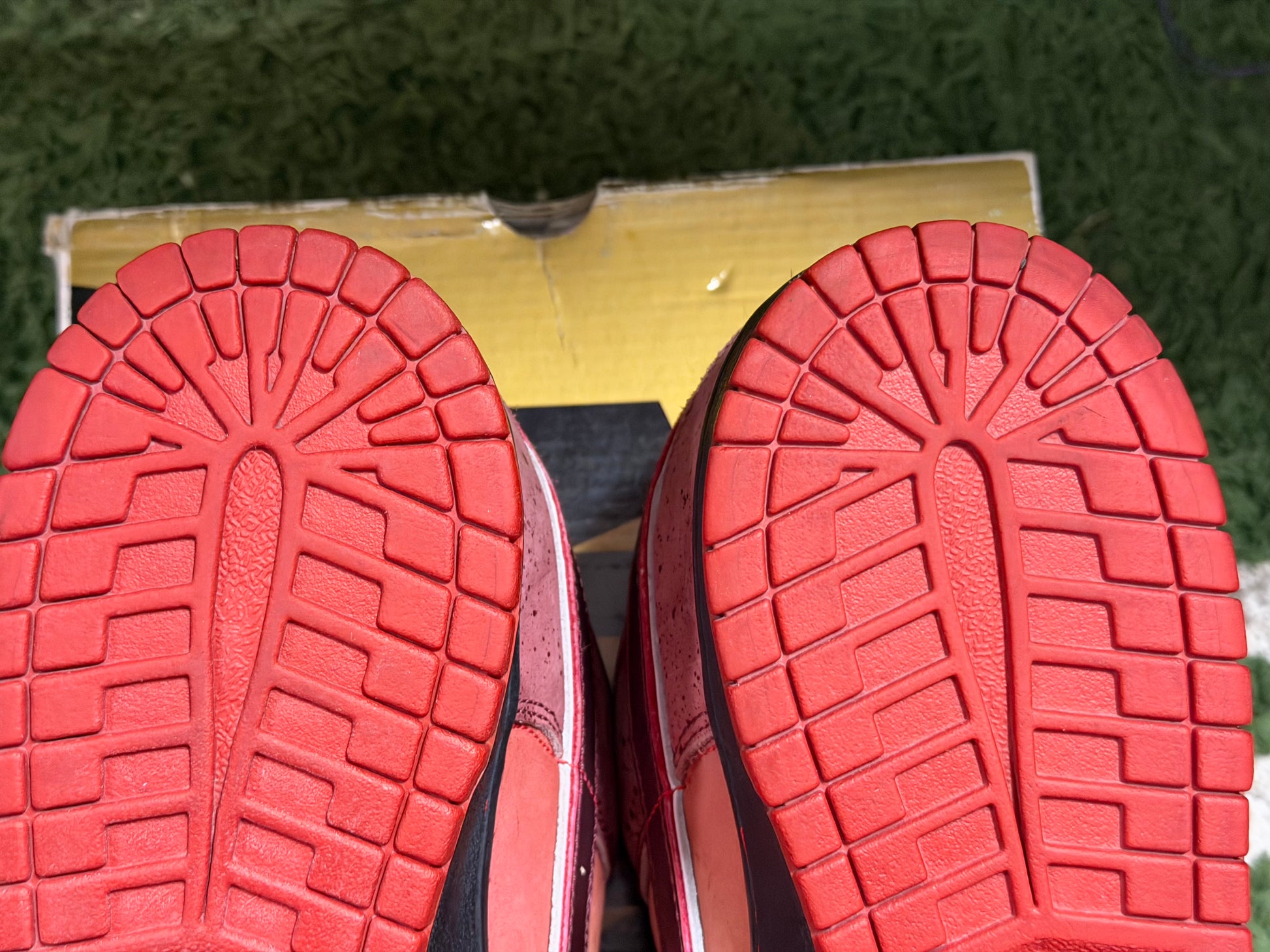Nike SB Dunk Low Concepts Red Lobster