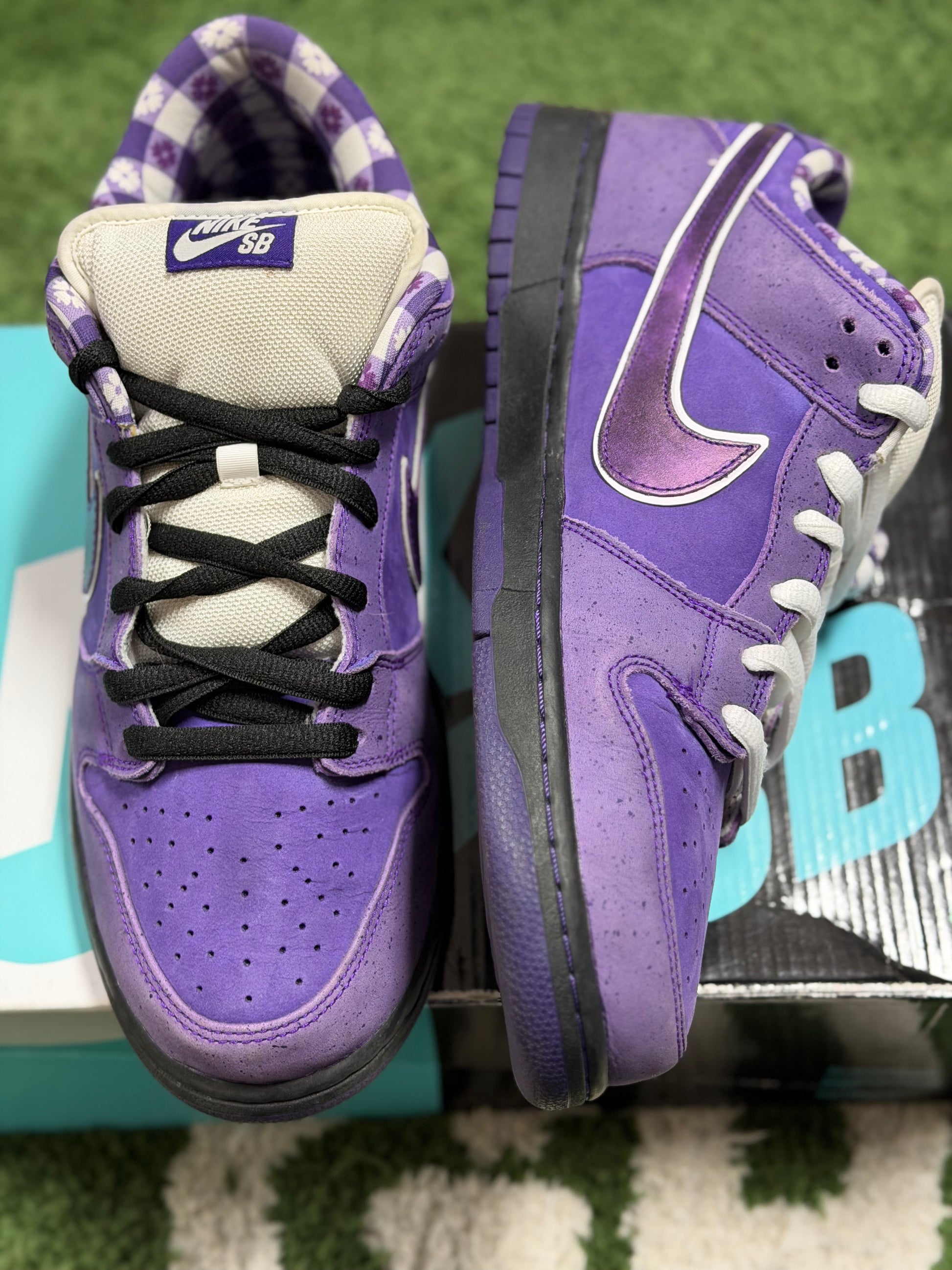 Nike SB Dunk Low Concepts Purple Lobster