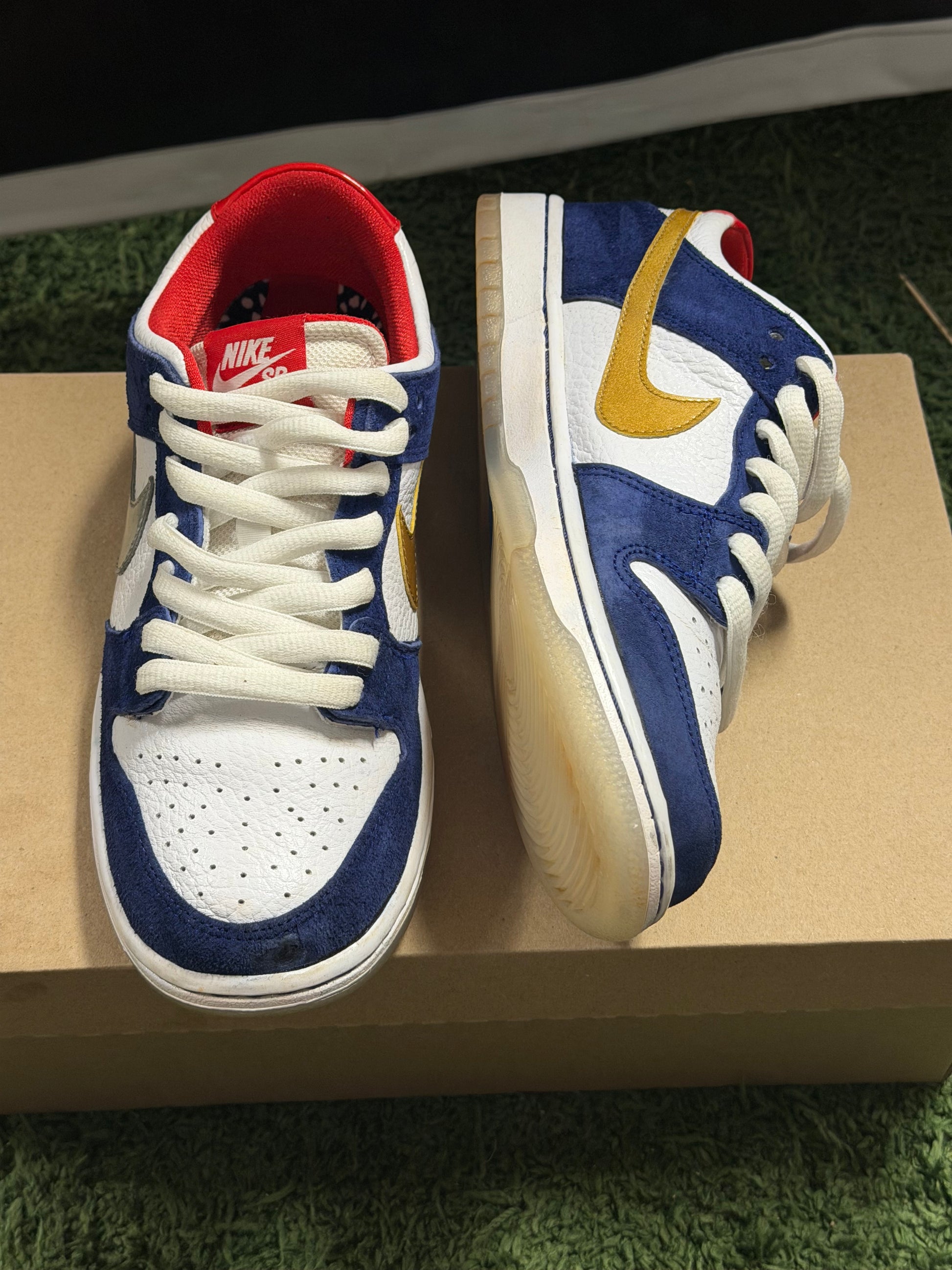 Nike SB Dunk Low Ishod Wair BMW