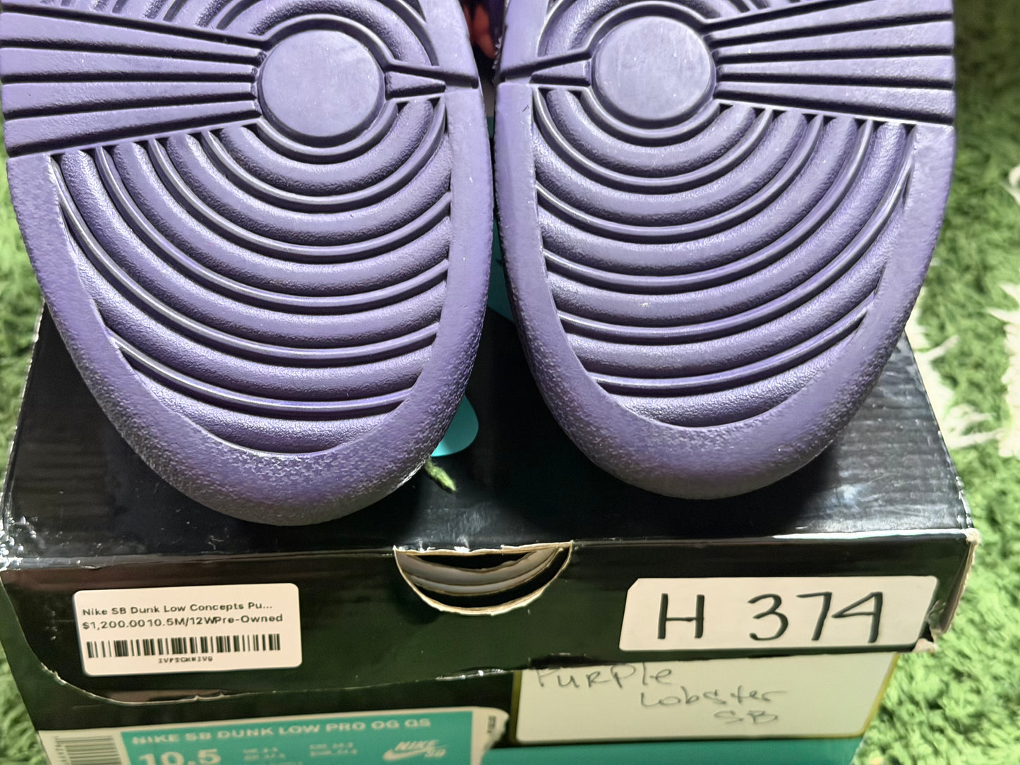 Nike SB Dunk Low Concepts Purple Lobster