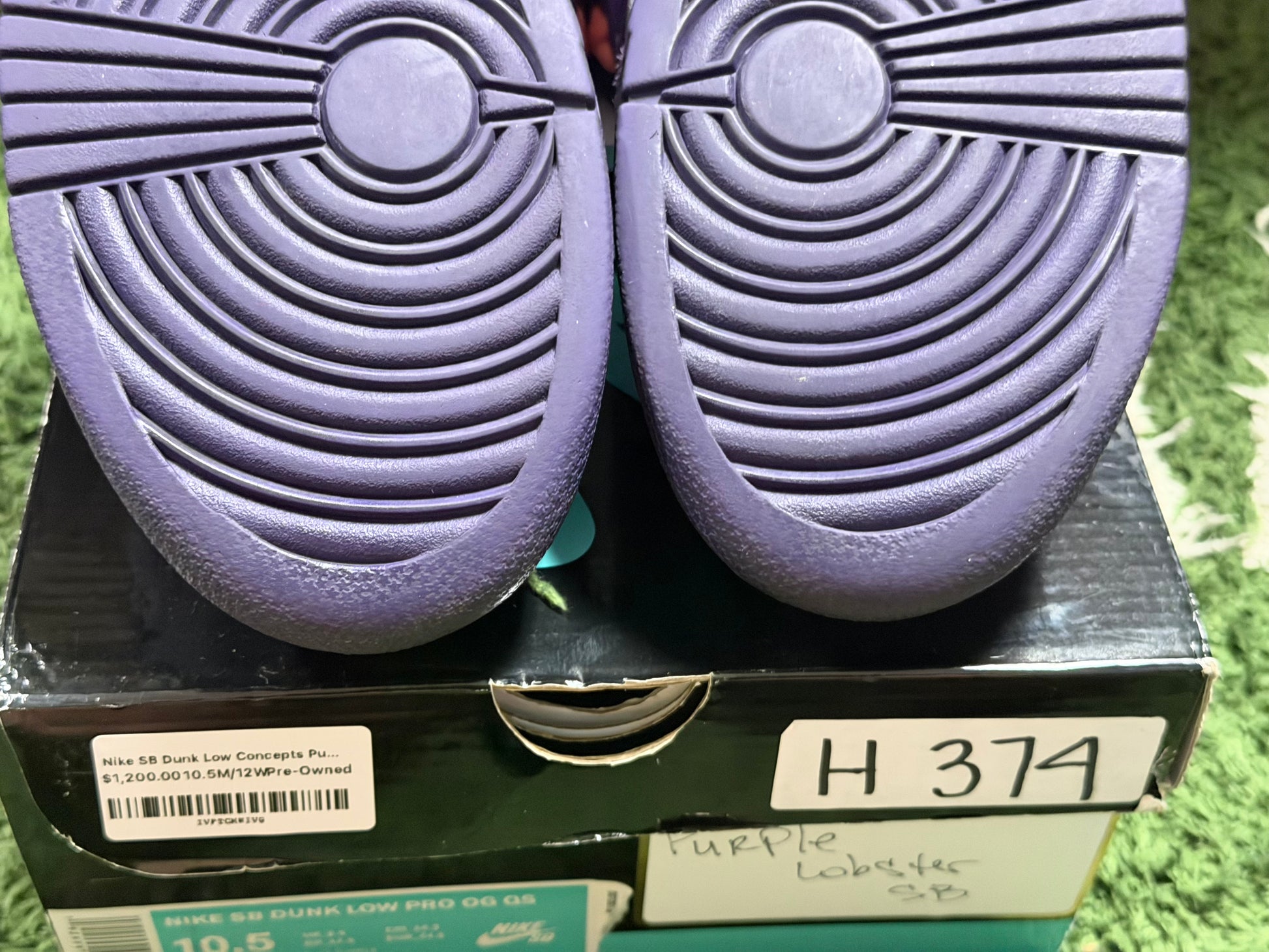 Nike SB Dunk Low Concepts Purple Lobster