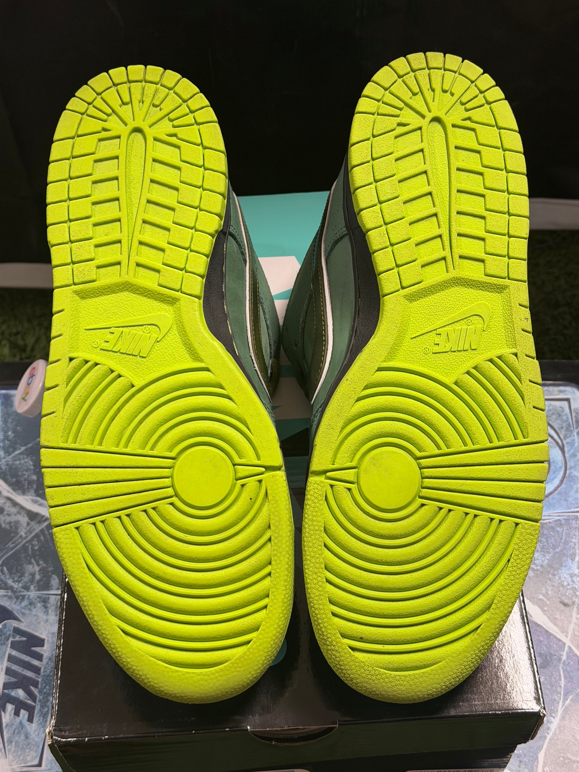 Nike SB Dunk Low Concepts Green Lobster (Special Box)