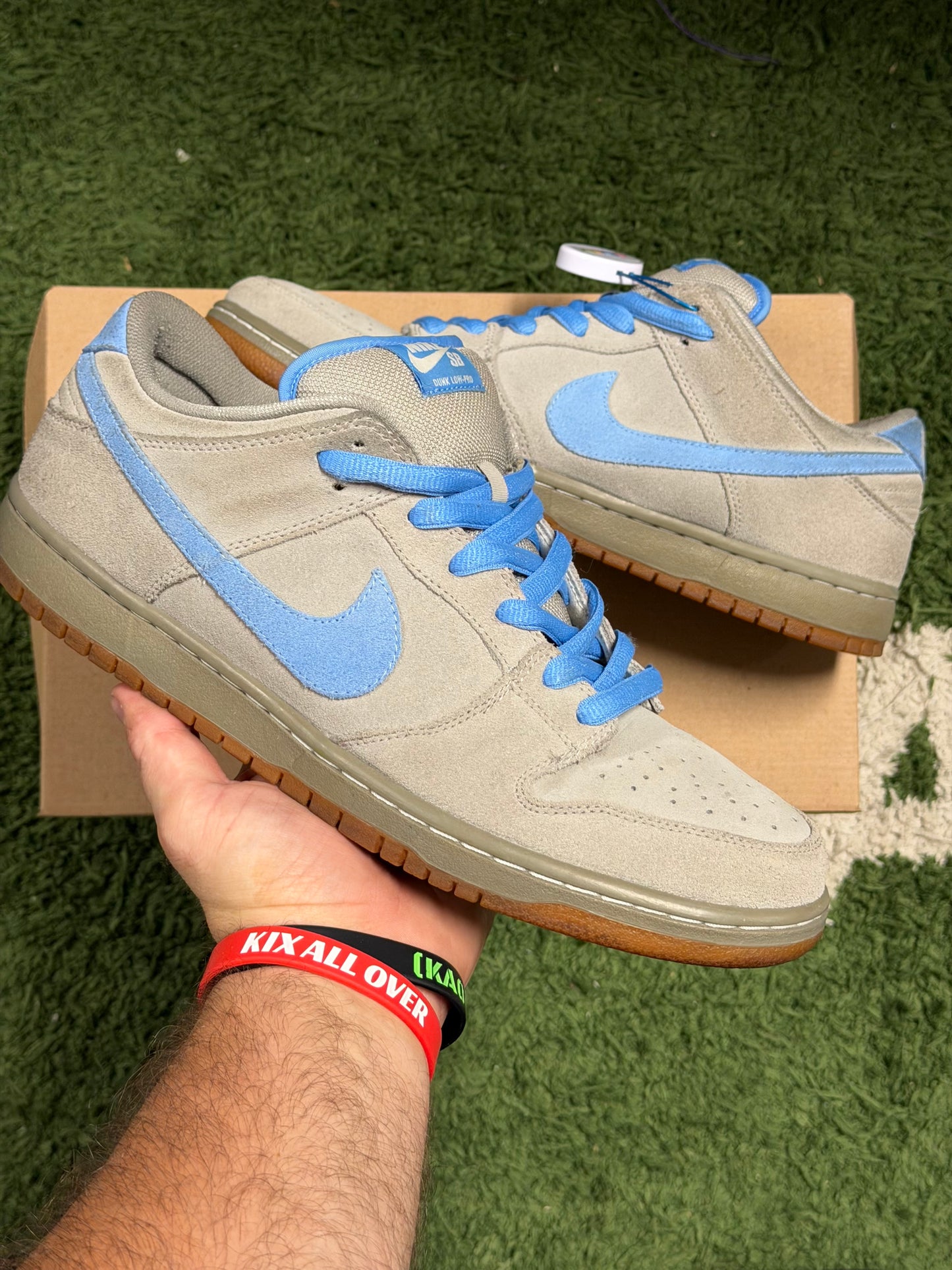Nike SB Dunk Low Iron Low