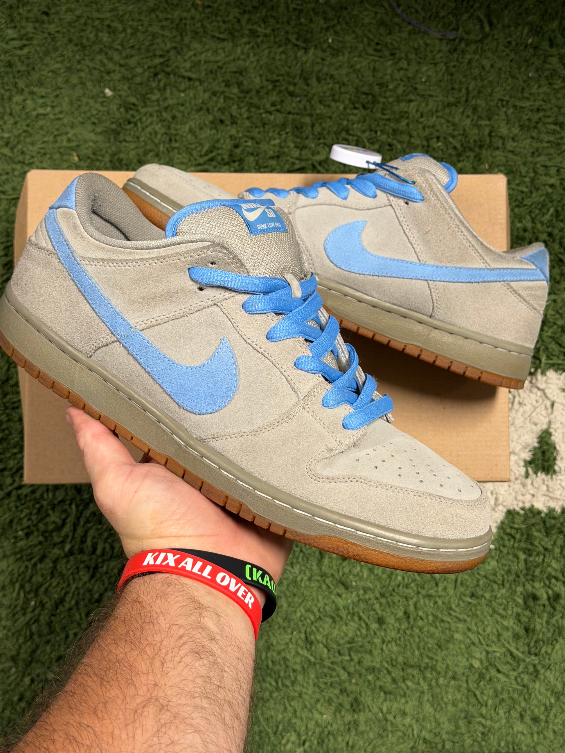 Nike SB Dunk Low Iron Low