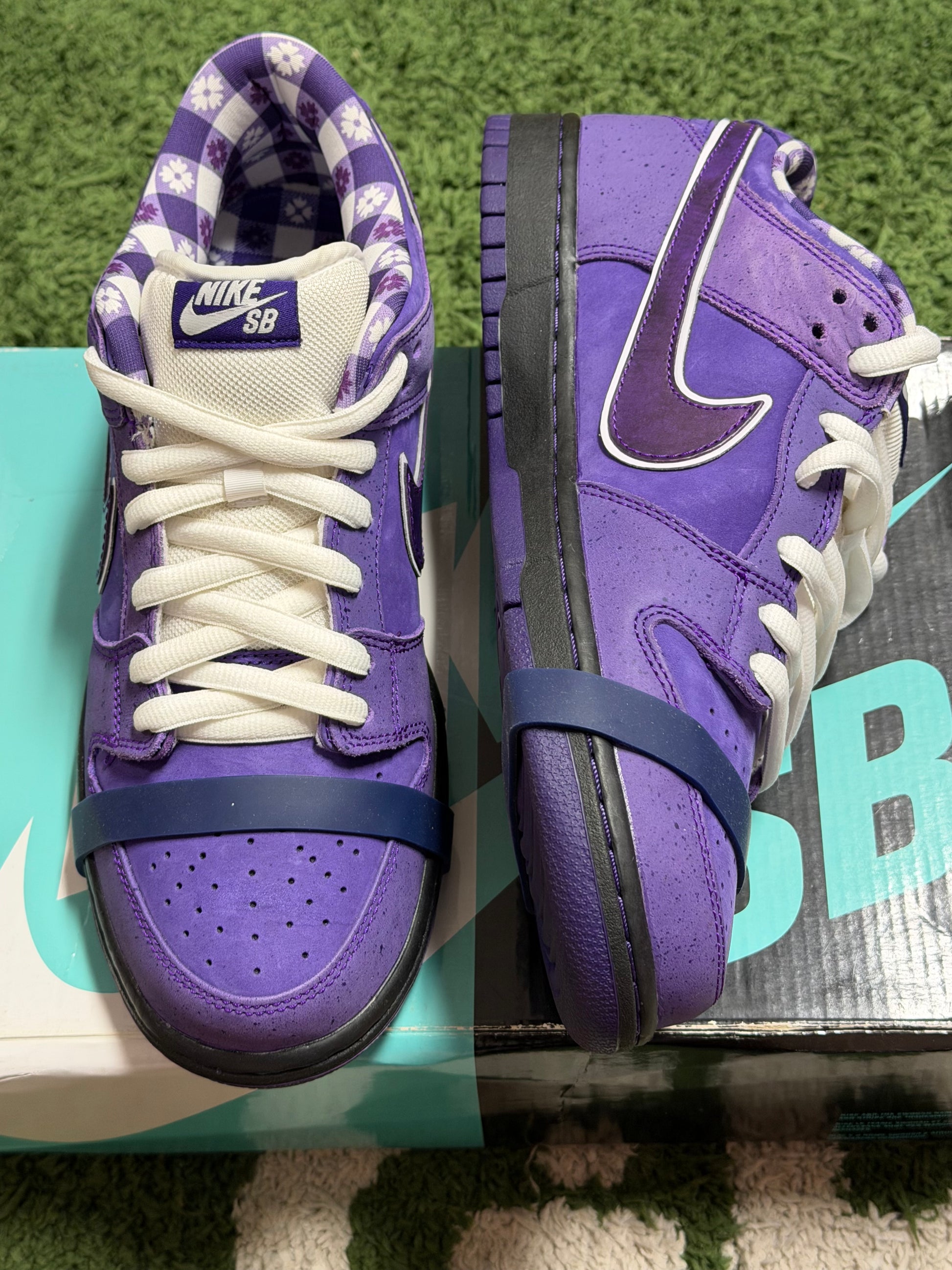 Nike SB Dunk Low Concepts Purple Lobster