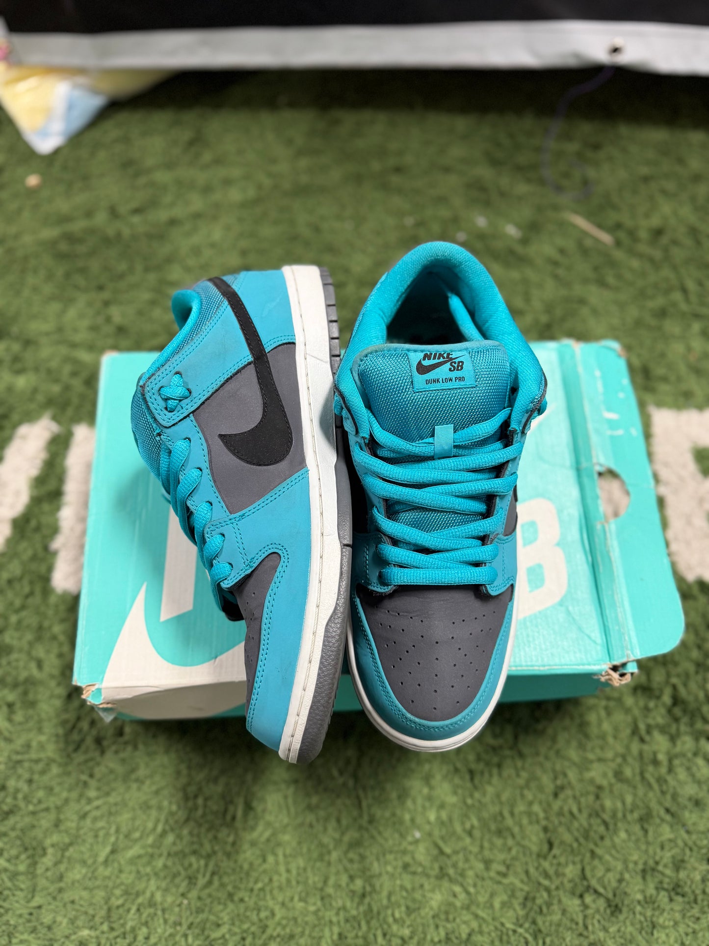 Nike SB Dunk Low Dusty Cactus