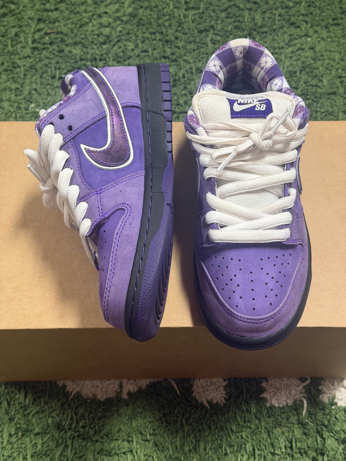 Nike SB Dunk Low Concepts Purple Lobster