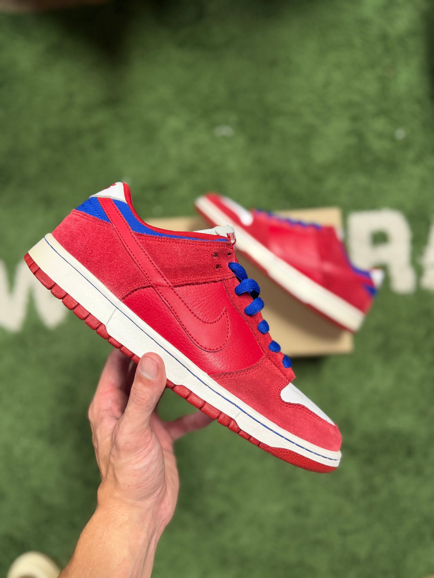 Nike Dunk low Pro SB Red/Royal