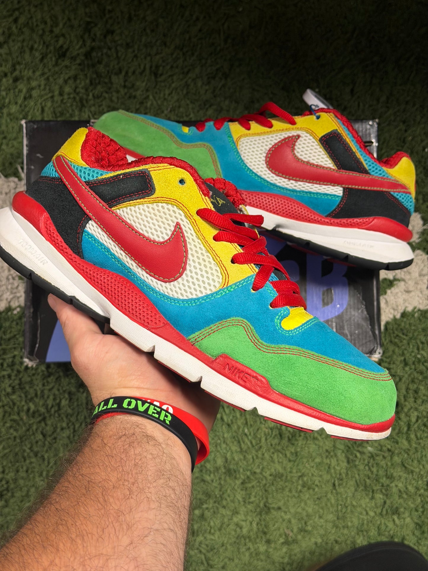 Nike Free Rod Plus Multicolor