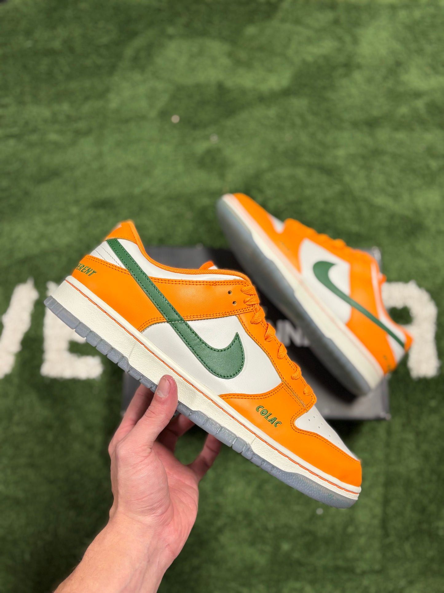 Nike Dunk Low FAMU