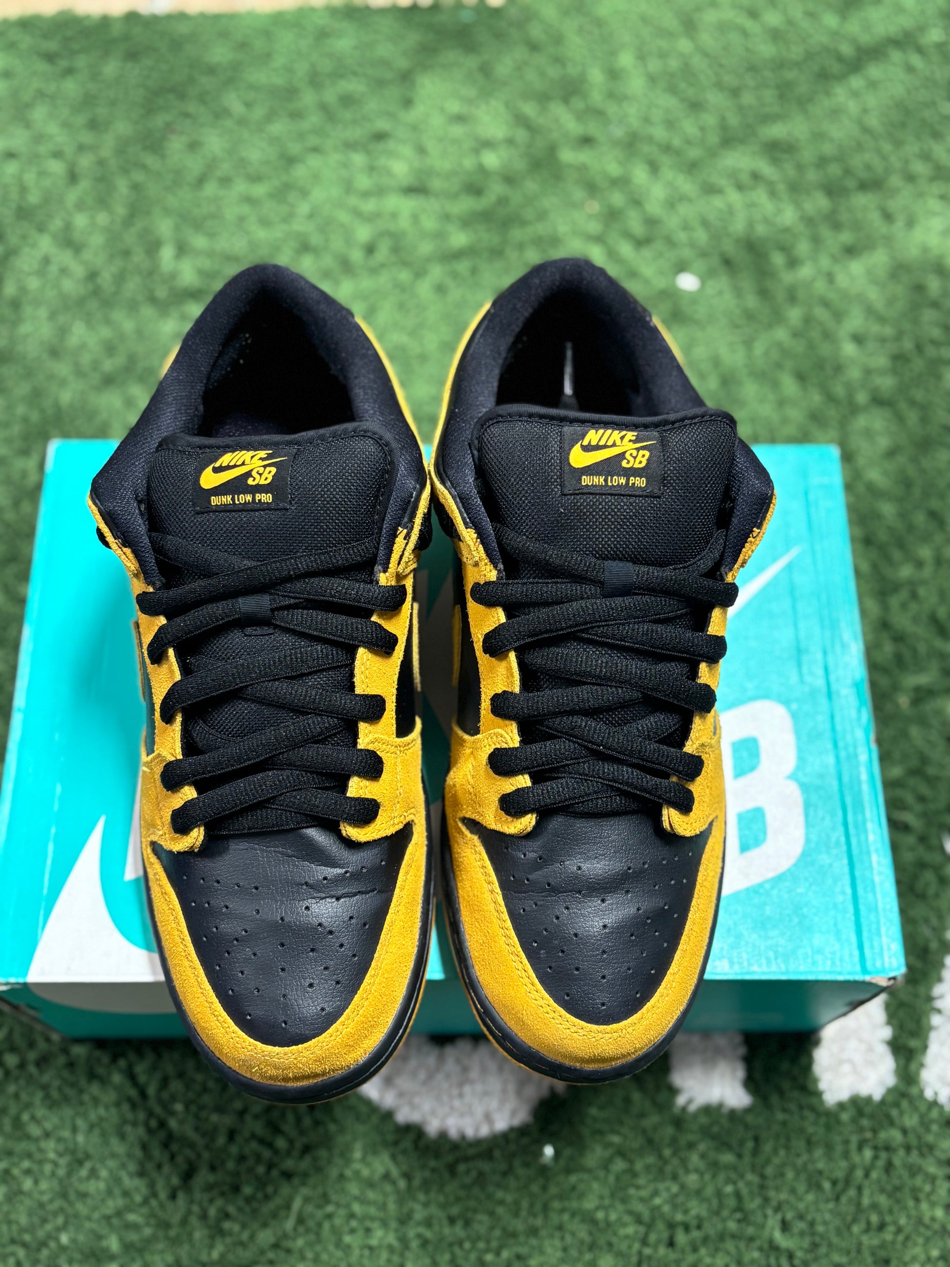 Nike SB Dunk Low Iowa