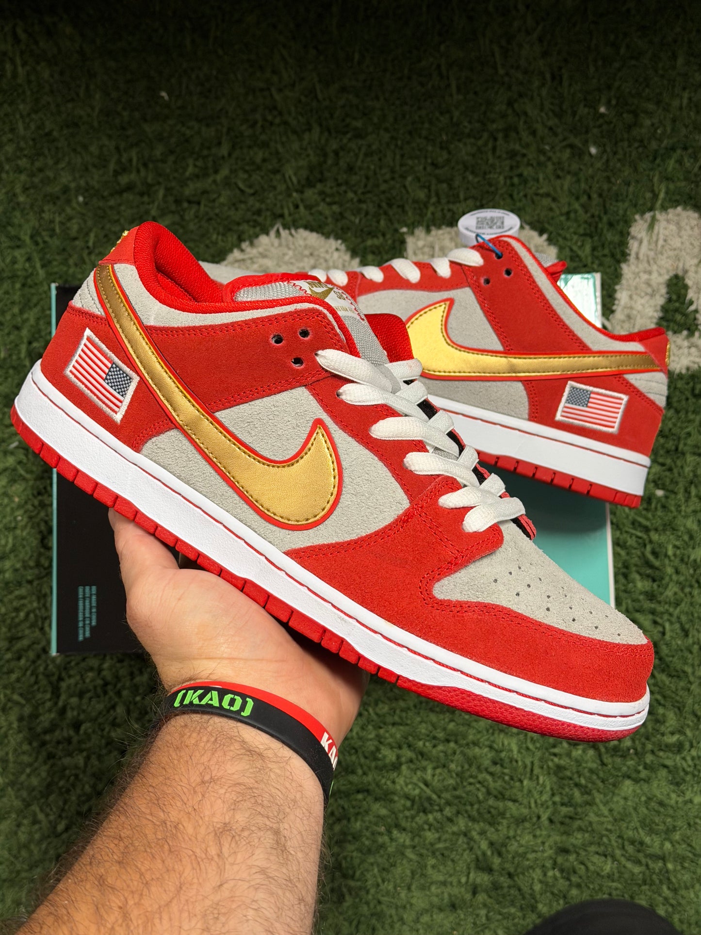 Nike SB Dunk Low Nasty Boys