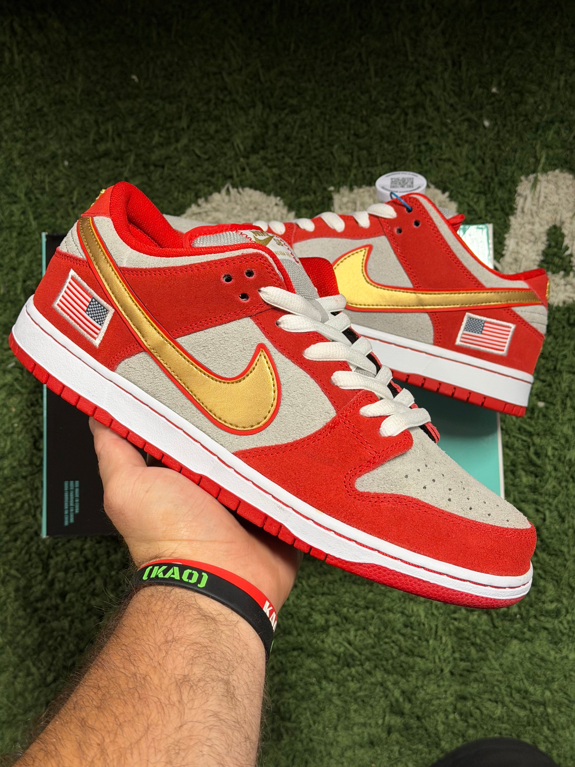 Nike SB Dunk Low Nasty Boys