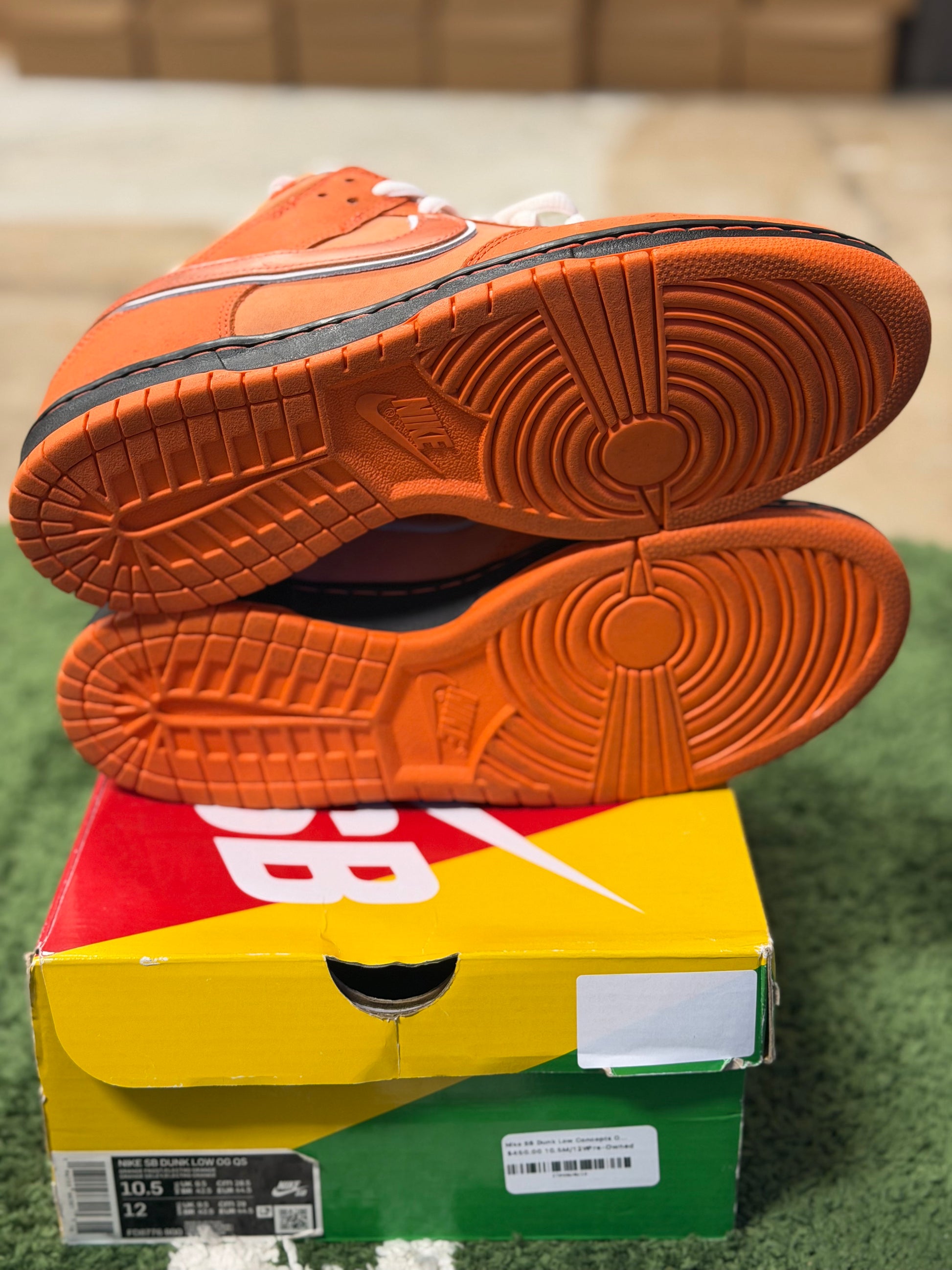 Nike SB Dunk Low Concepts Orange Lobster