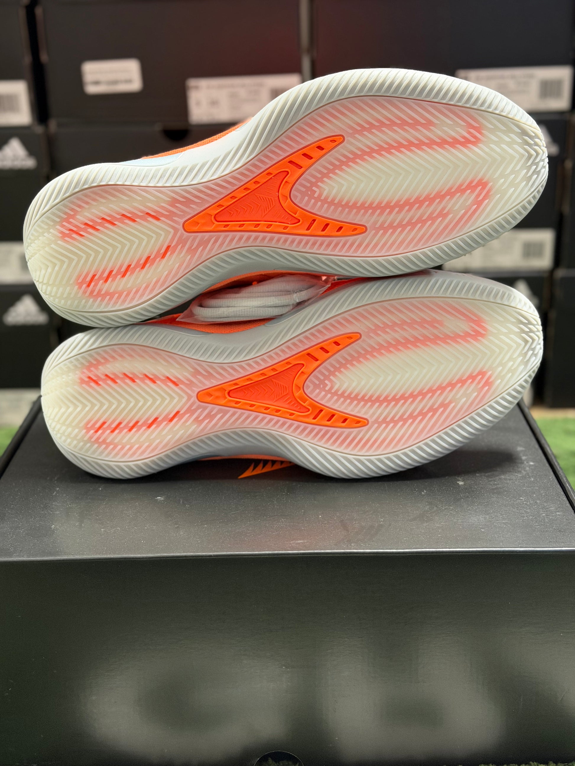 adidas AE 2 All-Star