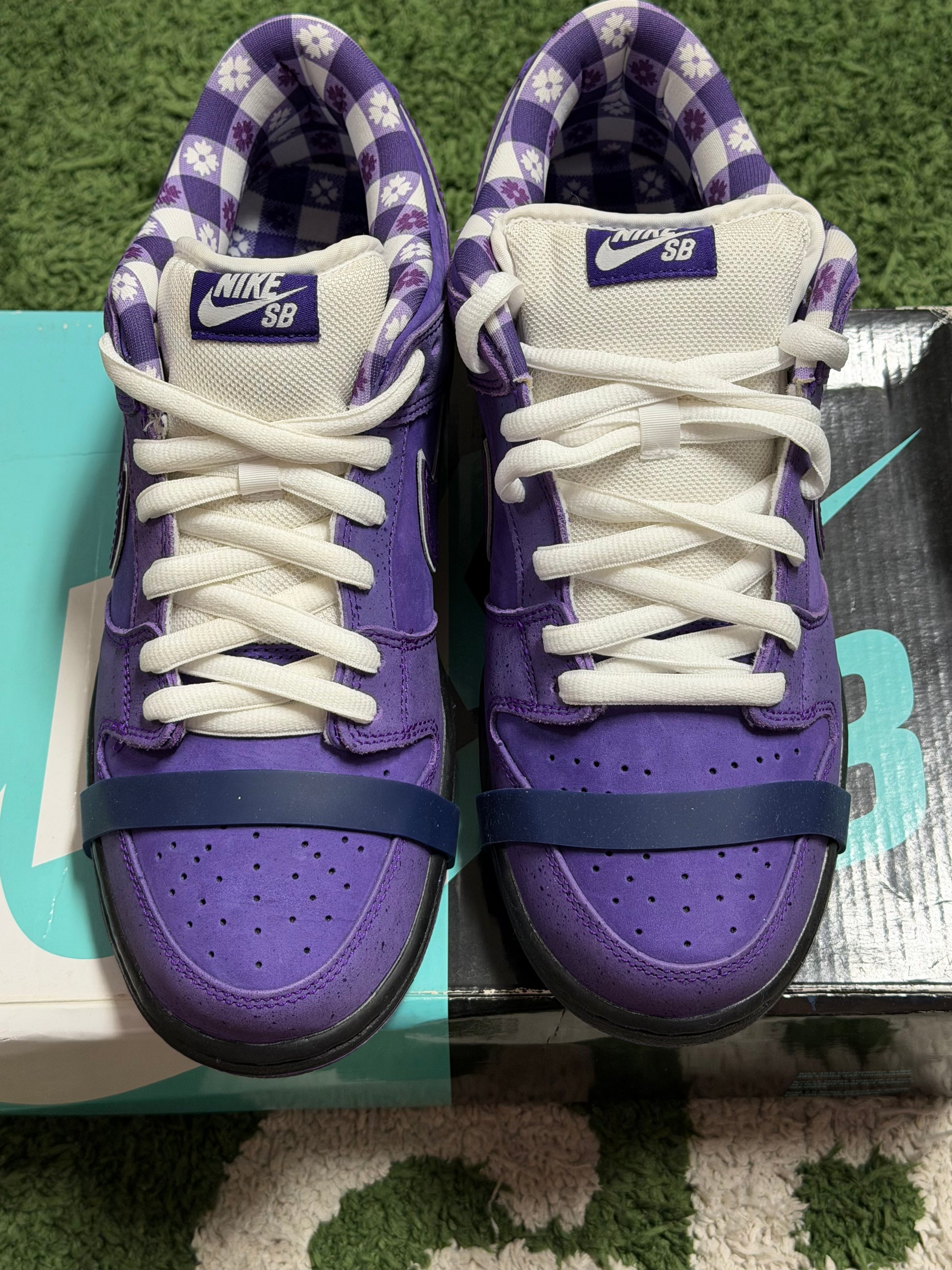 Nike SB Dunk Low Concepts Purple Lobster