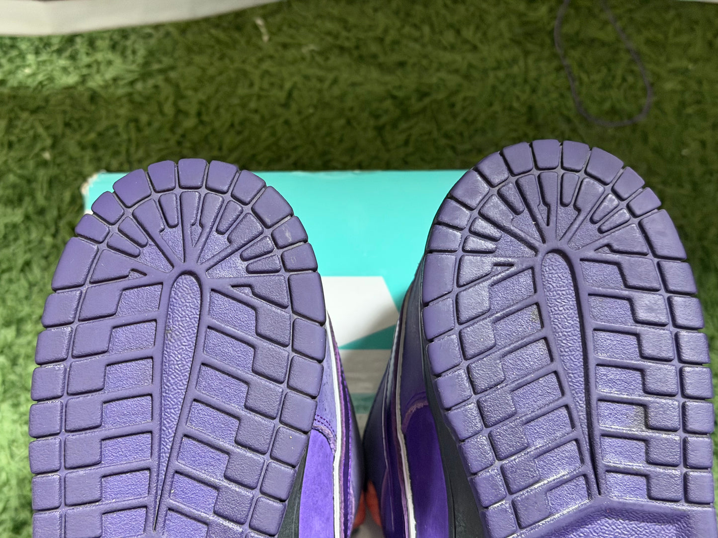 Nike SB Dunk Low Concepts Purple Lobster