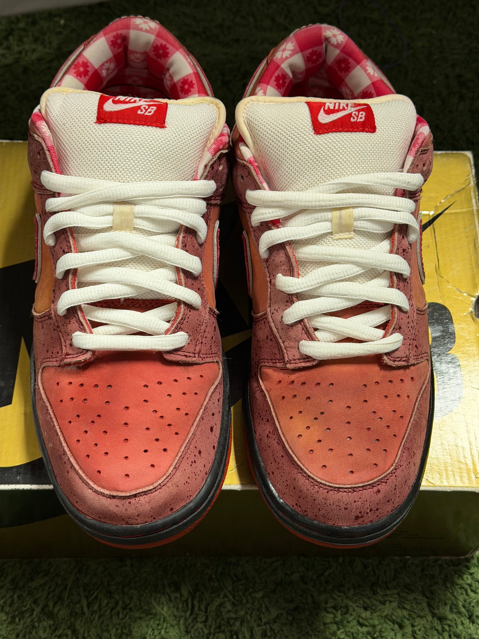 Nike SB Dunk Low Concepts Red Lobster