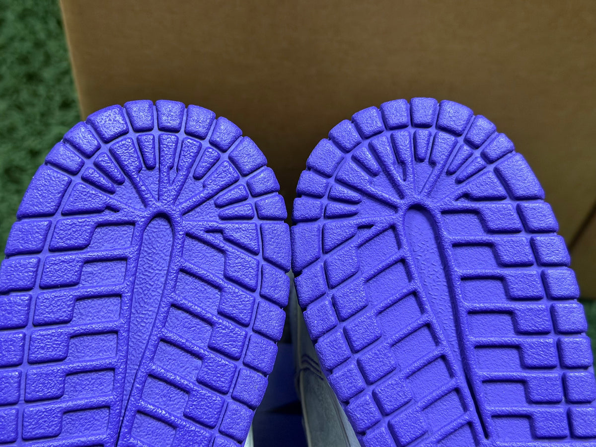 Nike SB Dunk High Dinosaur Jr.