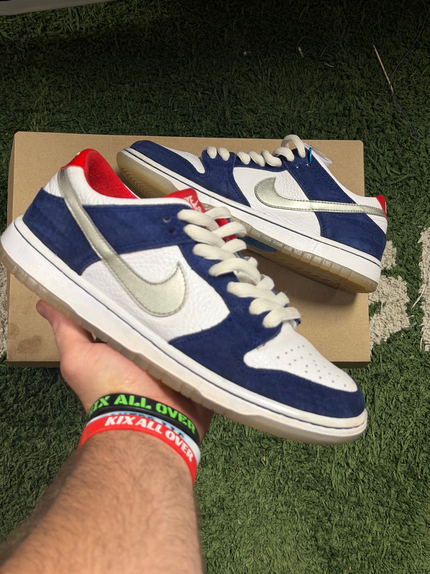 Nike SB Dunk Low Ishod Wair BMW