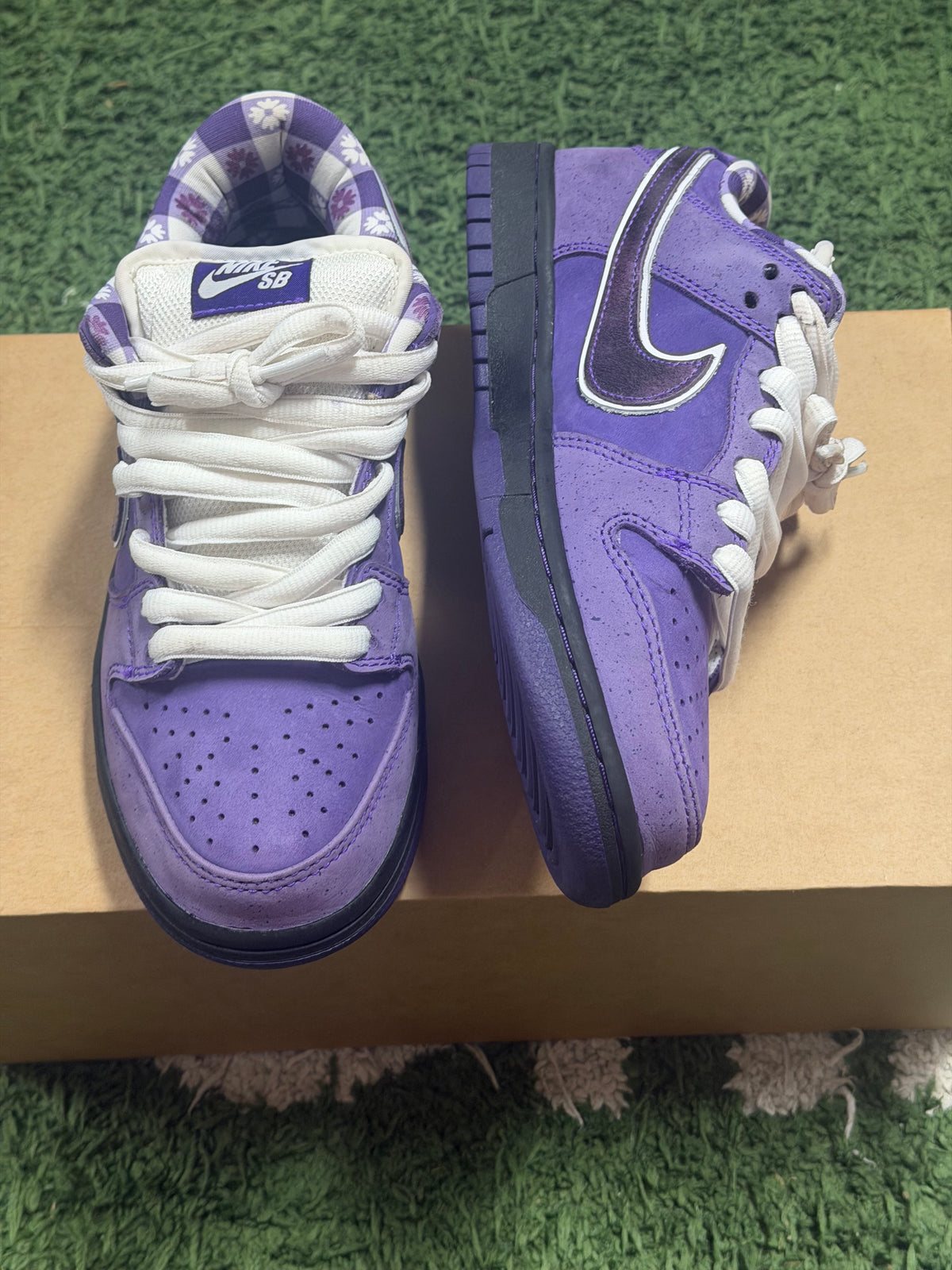 Nike SB Dunk Low Concepts Purple Lobster