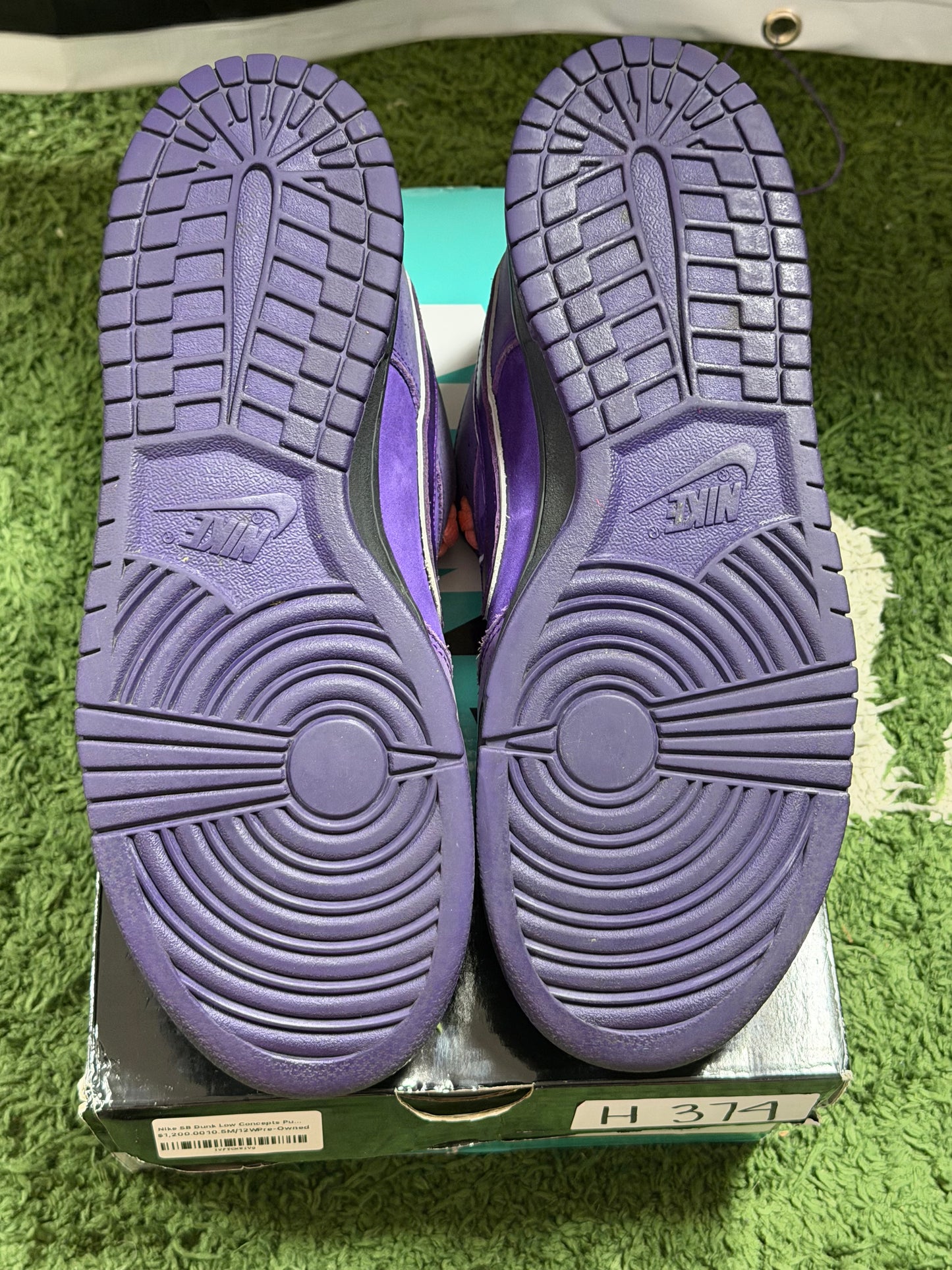 Nike SB Dunk Low Concepts Purple Lobster