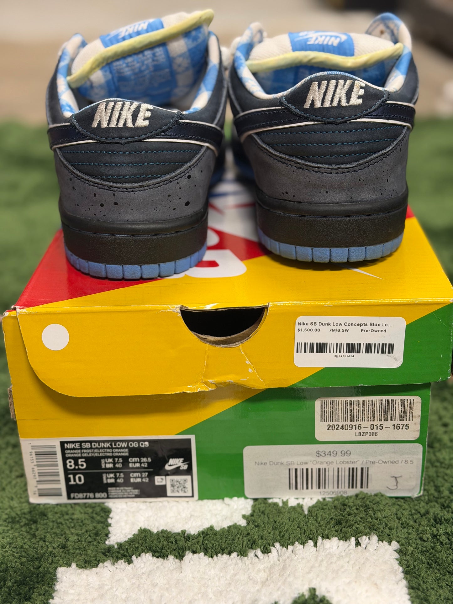 Nike SB Dunk Low Concepts Blue Lobster