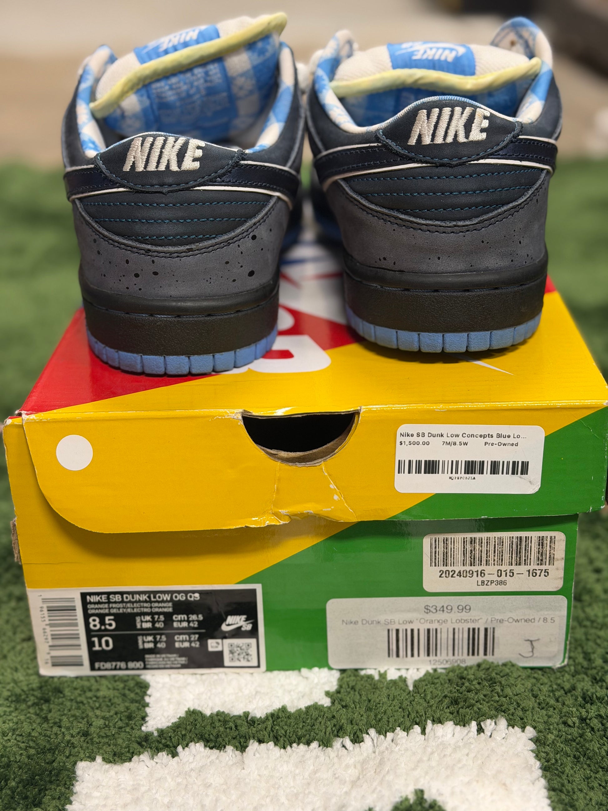 Nike SB Dunk Low Concepts Blue Lobster