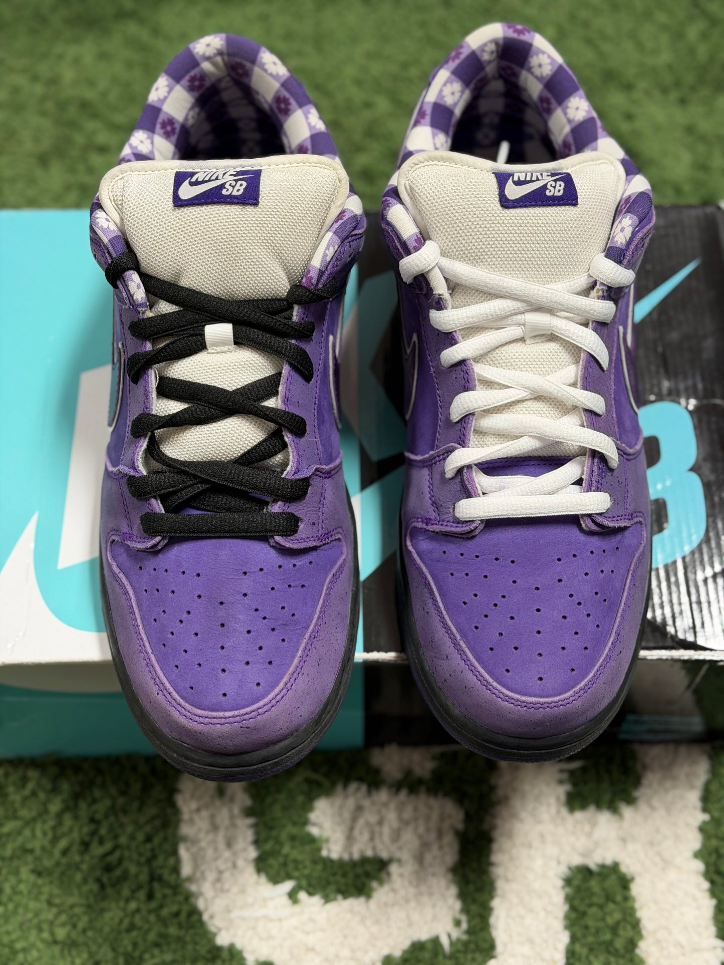 Nike SB Dunk Low Concepts Purple Lobster