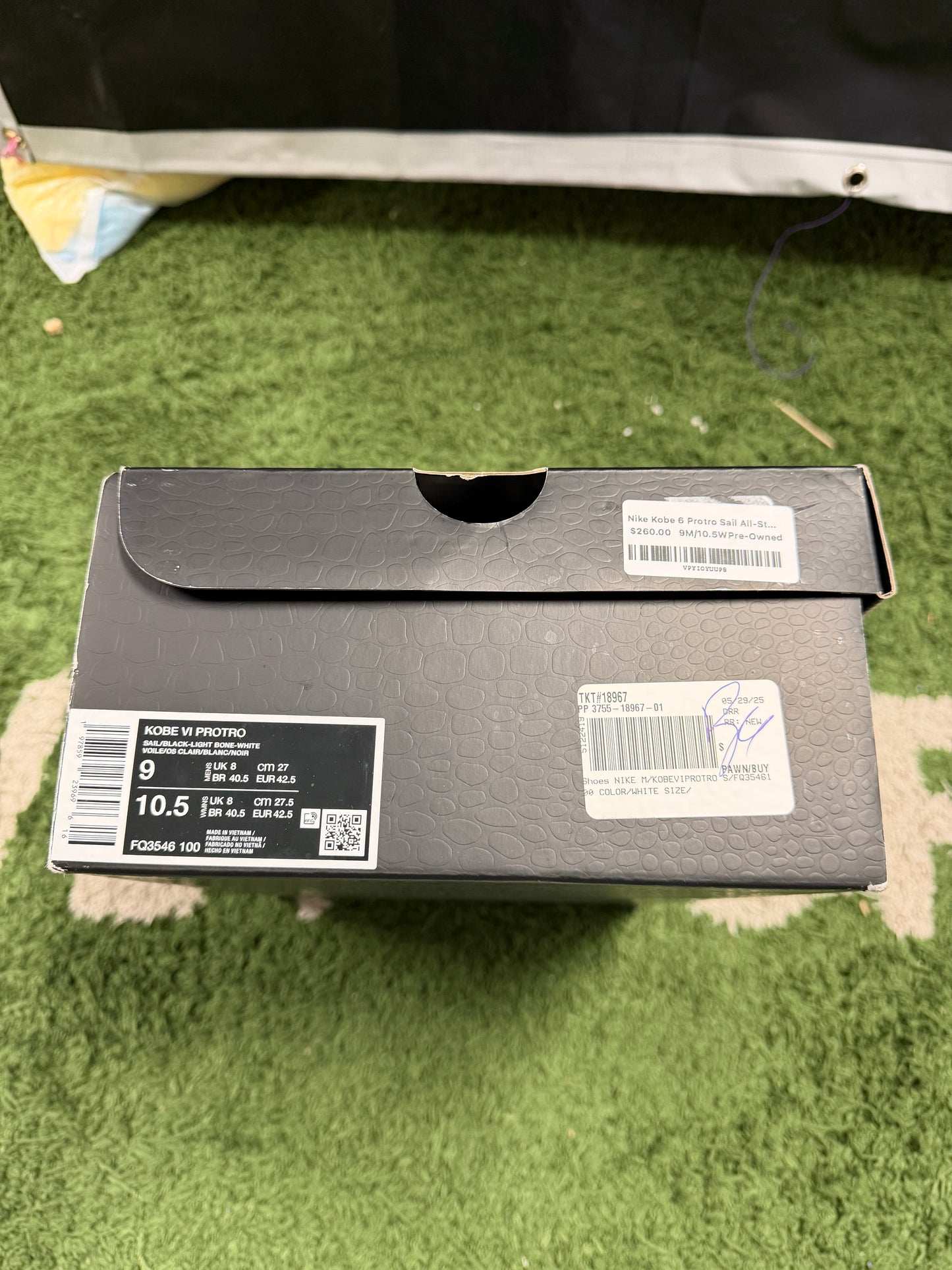 Nike Kobe 6 Protro Sail All-Star