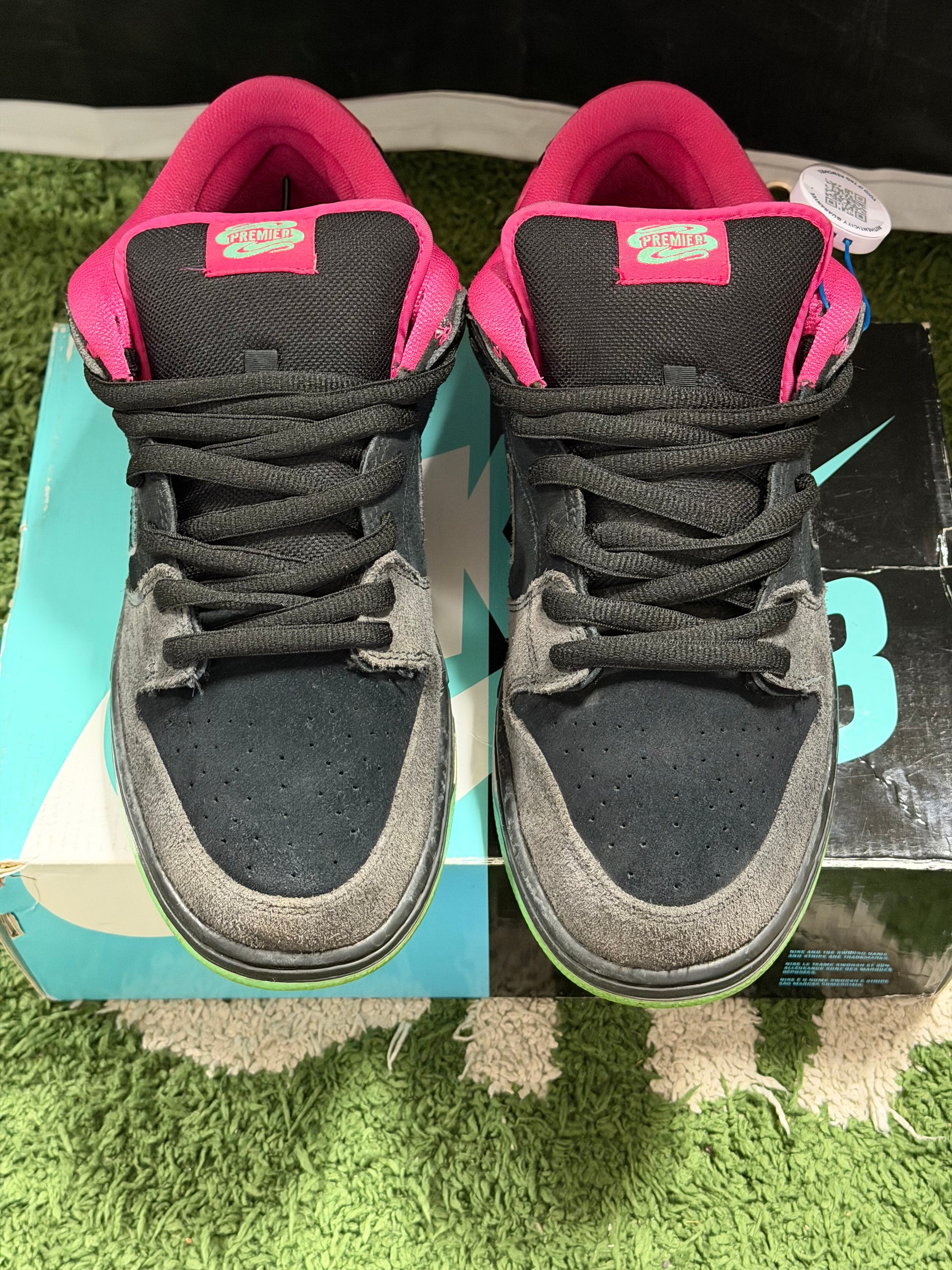 Nike SB Dunk Low Premier Northern Lights