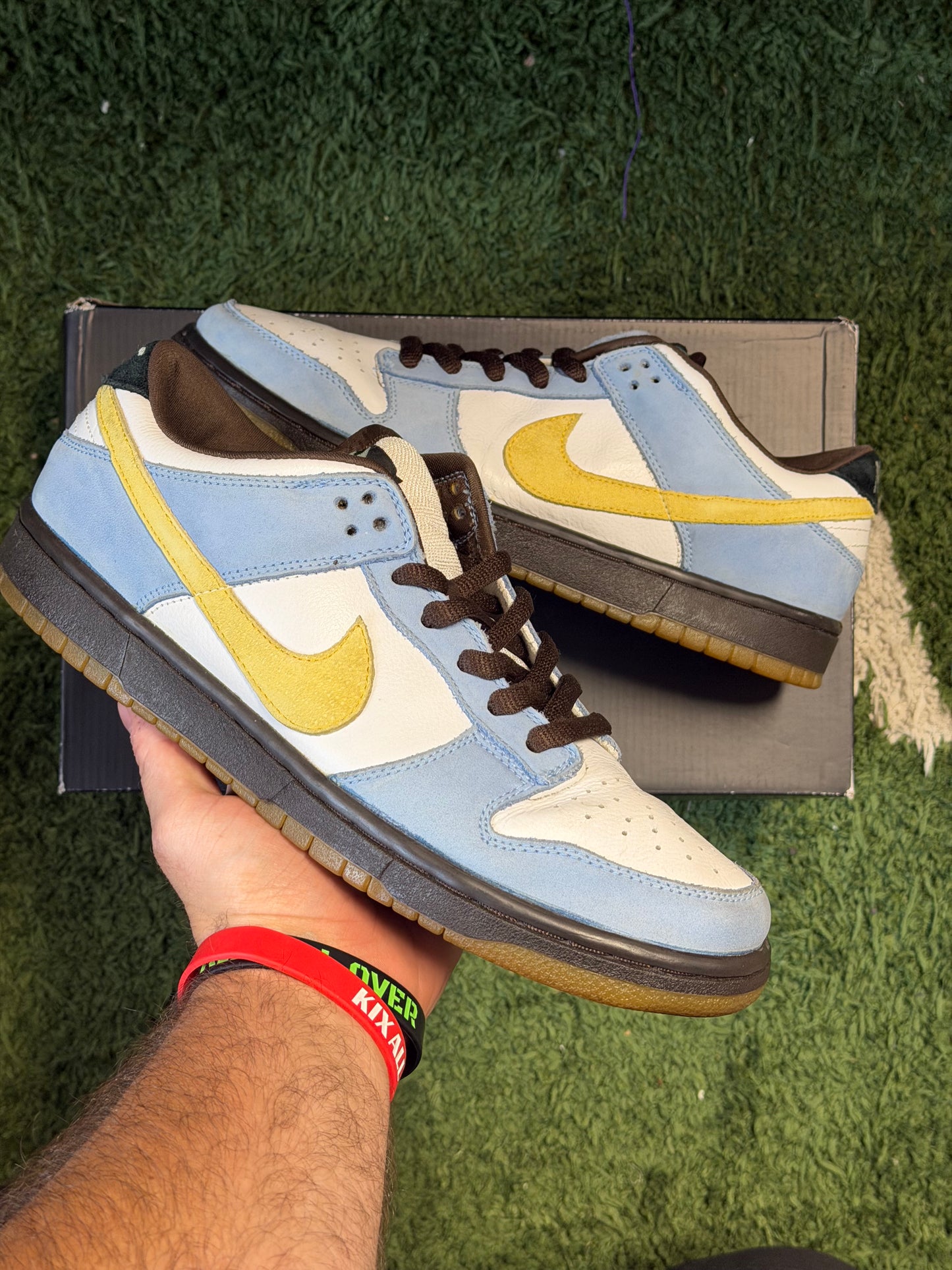 Nike SB Dunk Low Homer