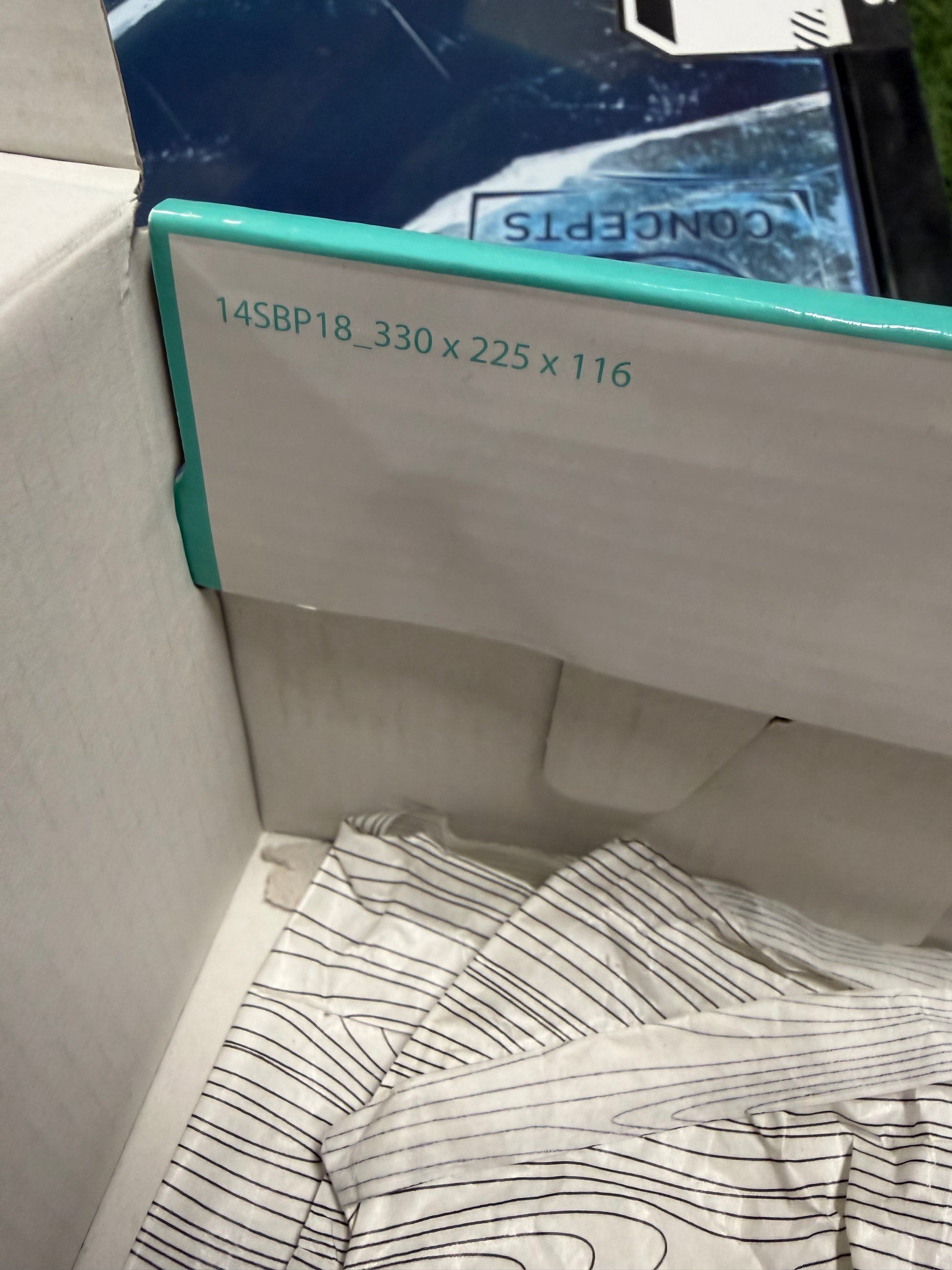 Nike SB Dunk Low Concepts Green Lobster (Special Box)