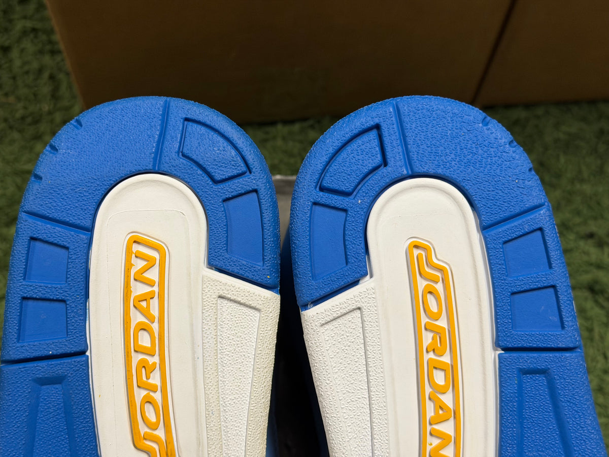 Jordan 3 Retro Do the Right Thing (DTRT)